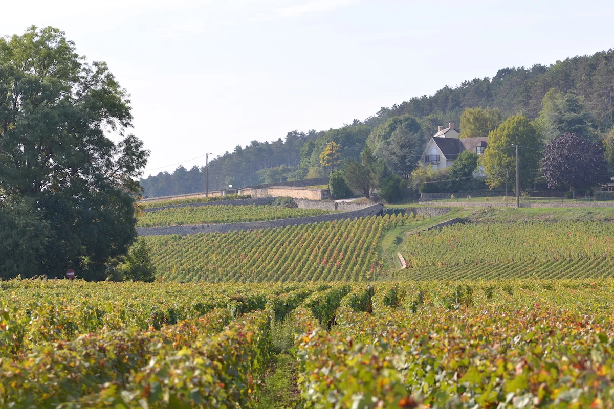 Champonnet to right on the slope