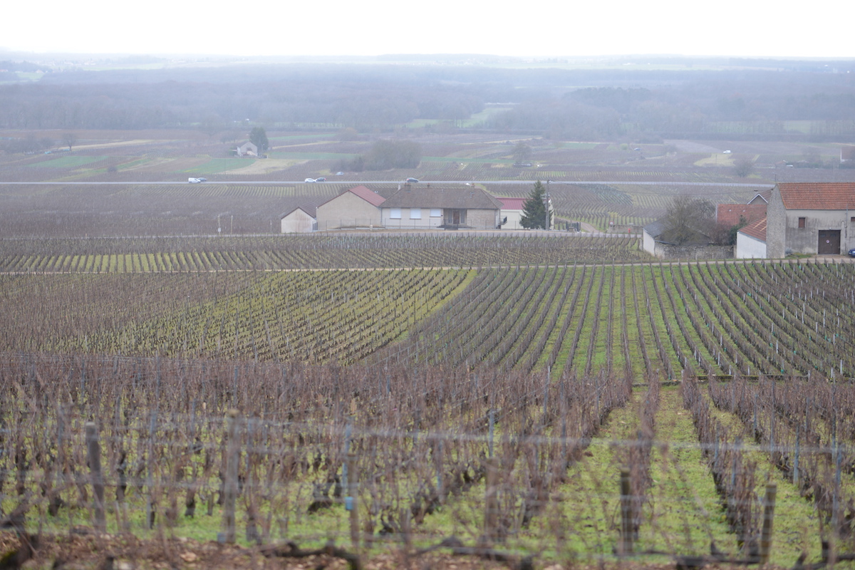 Clos St Denis 