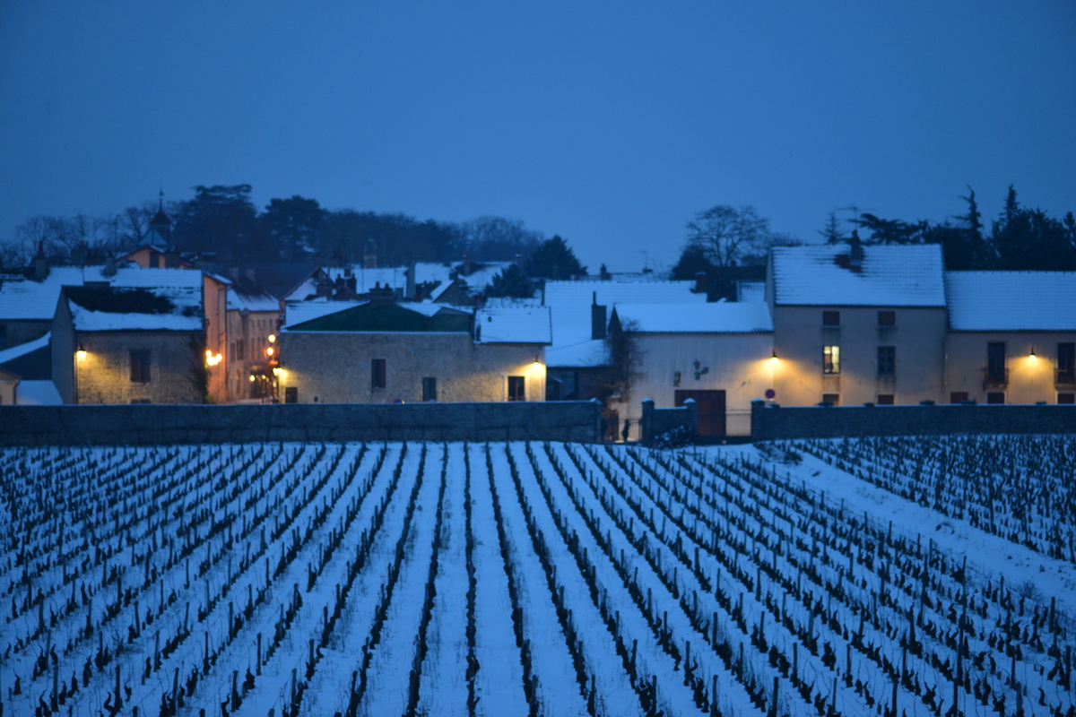 Gevrey Chambertin