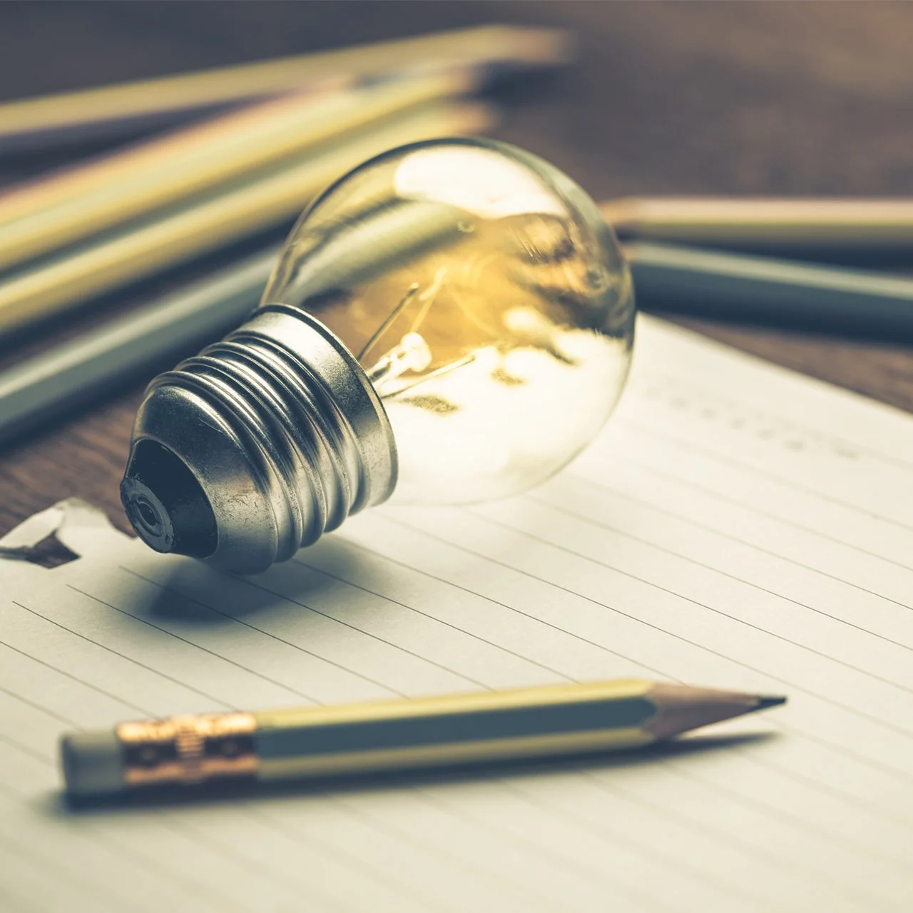 Content Page Image.jpg