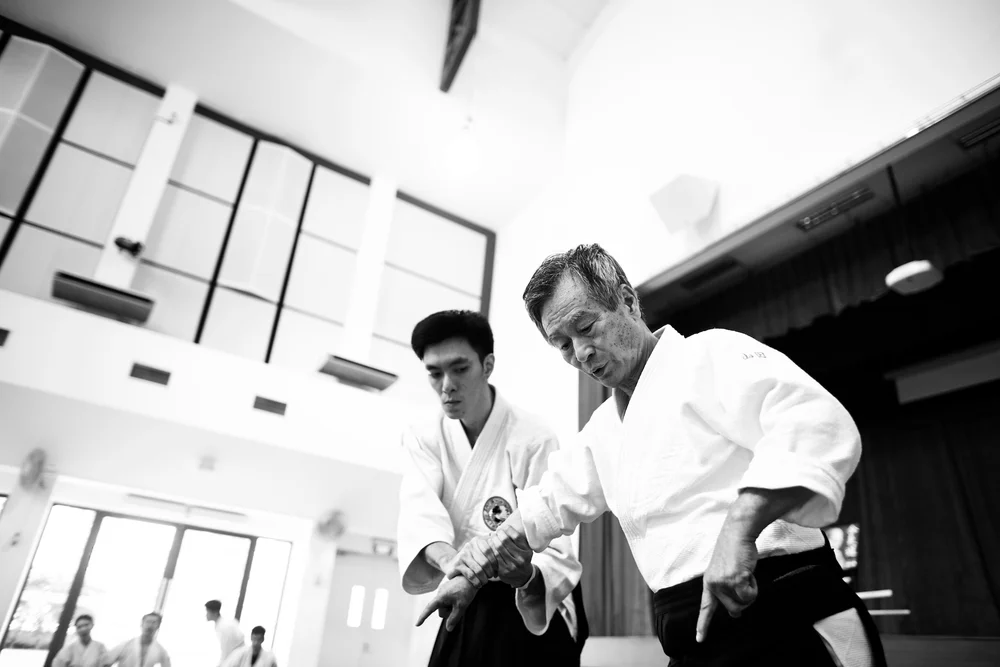 Hironobu Yamada Shihan Seminar 2015