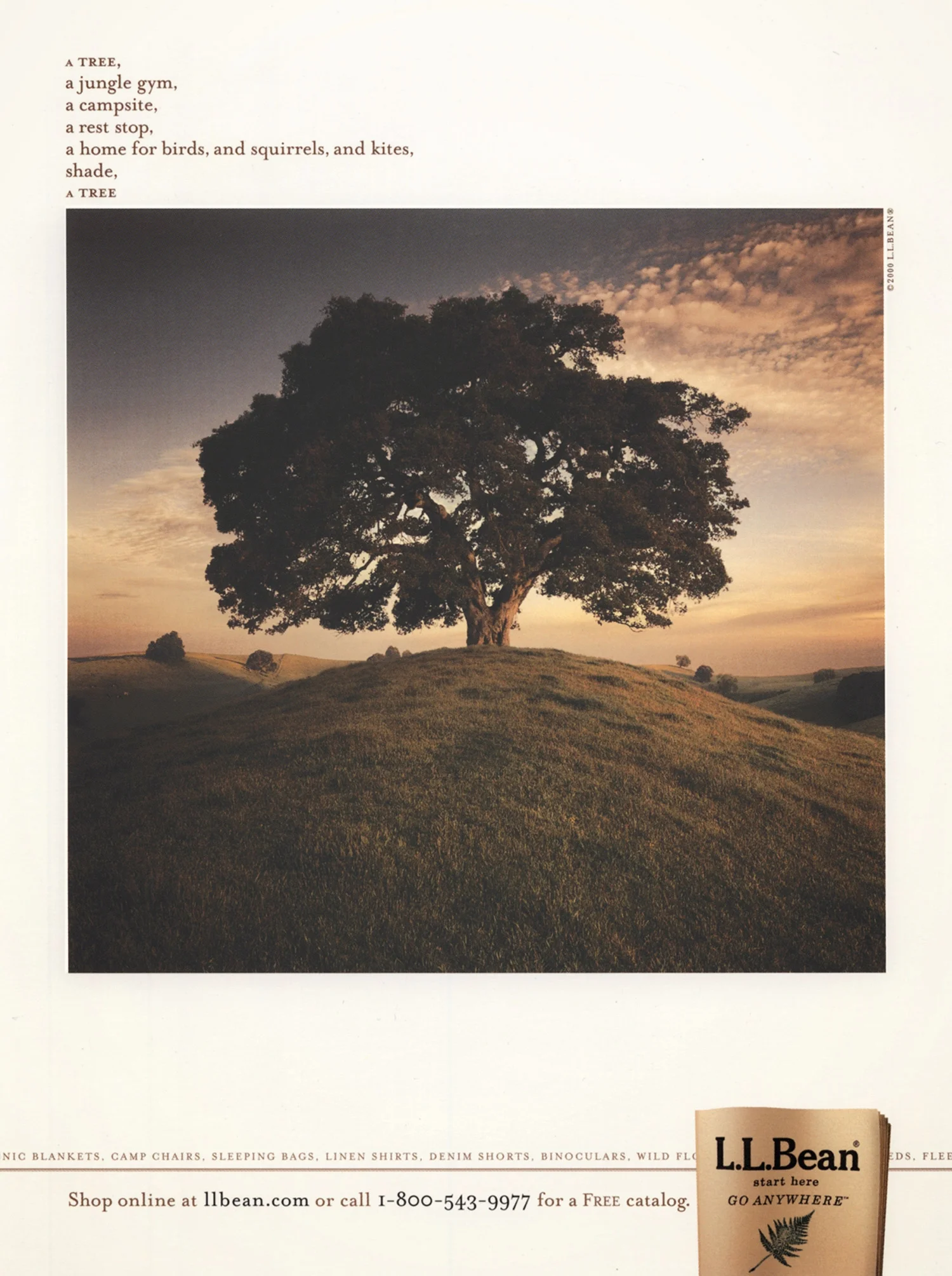 print2tree.jpg