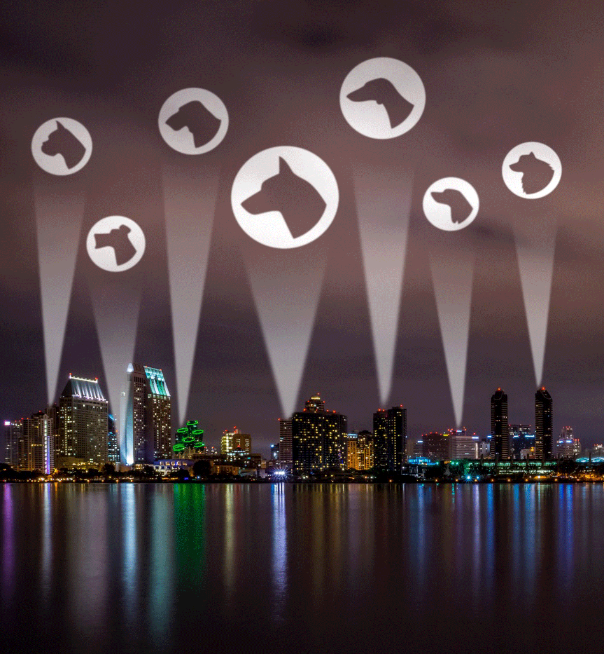 Comic Con stunt: Pets are superheroes