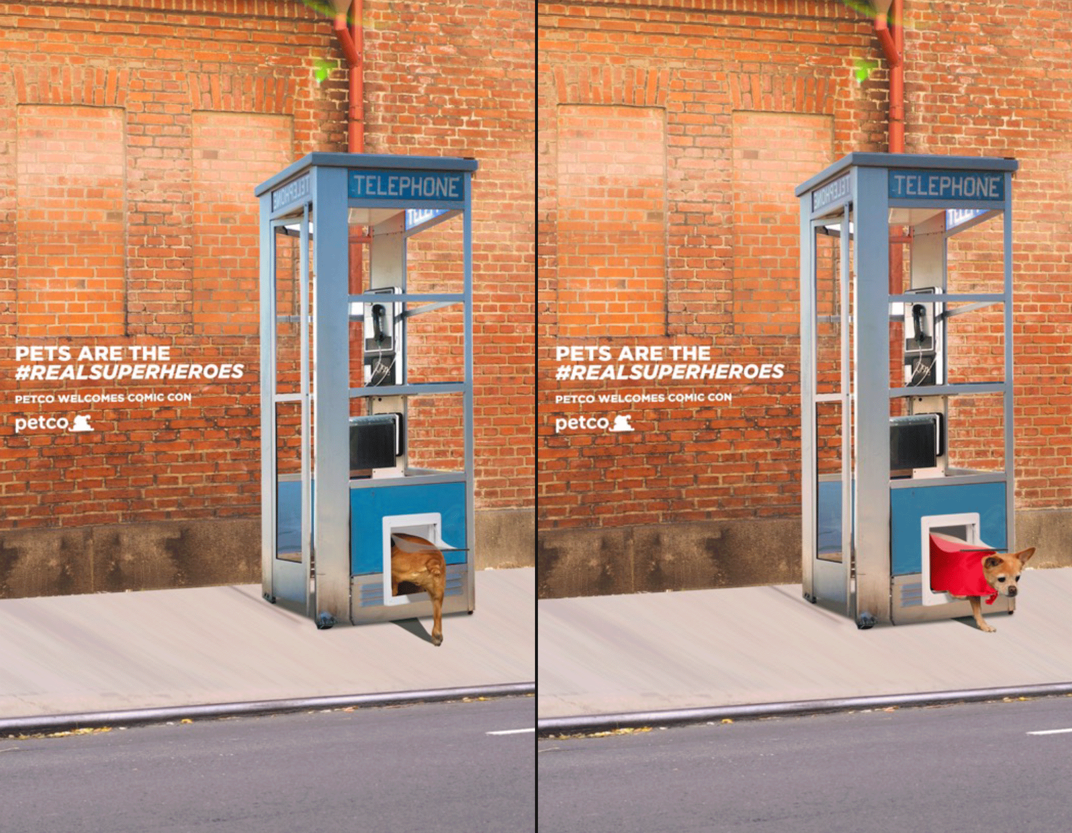 Comic Con stunt: Pets are superheroes