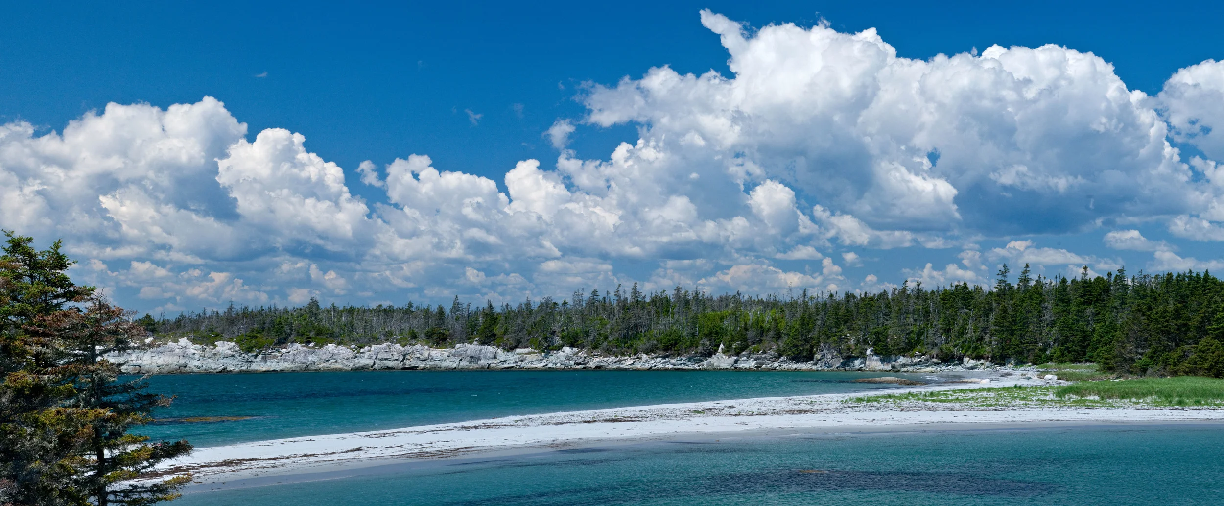 Join Us for a 100 Wild Islands Legacy Campaign Celebration