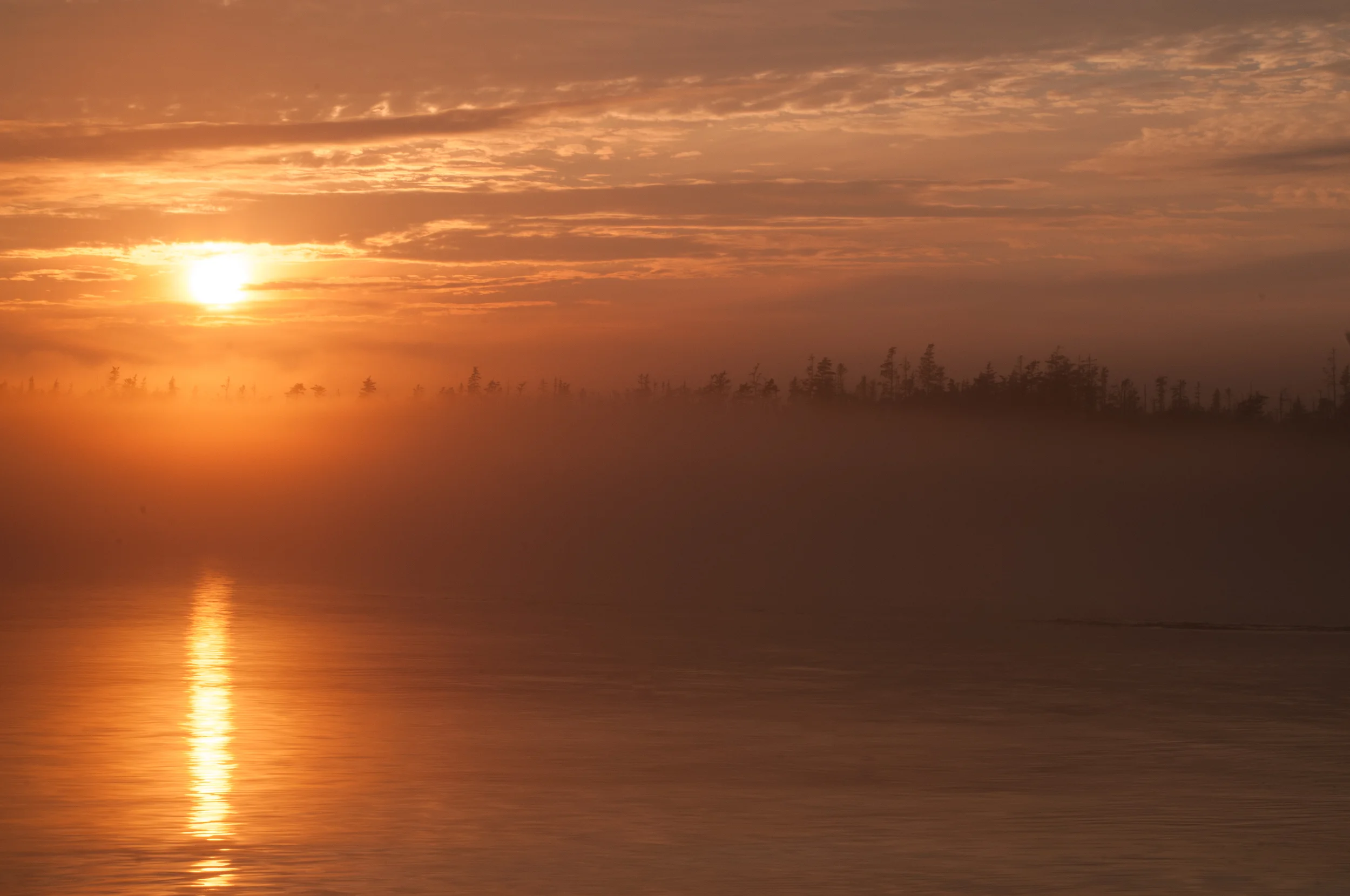 Year End Campaign Update