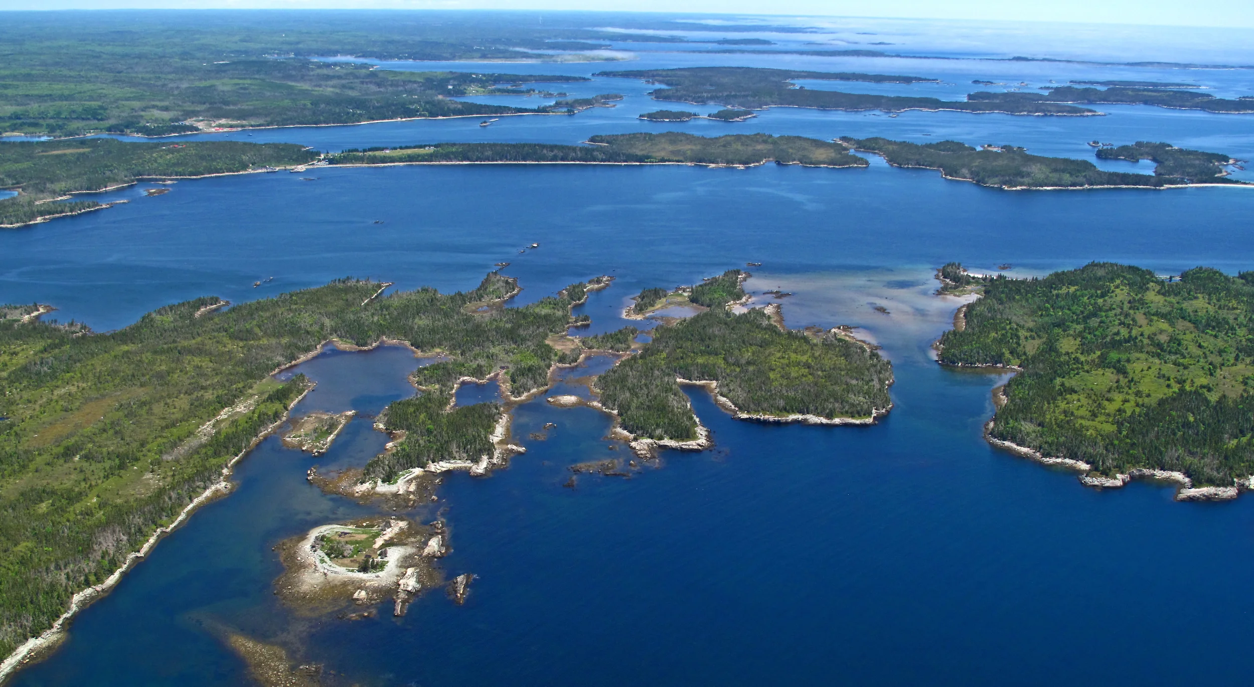 The 100 Wild Islands Campaign Takes Major Step Forward