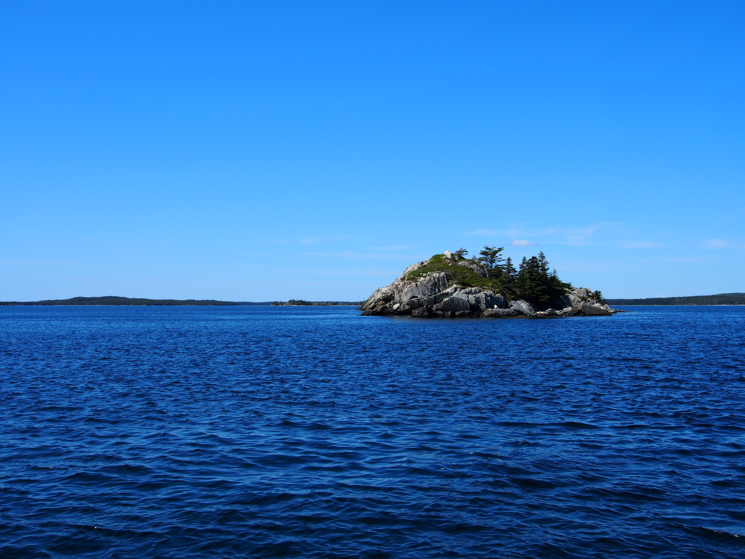 The 100 Wild Islands Gets a Mention in the Economist