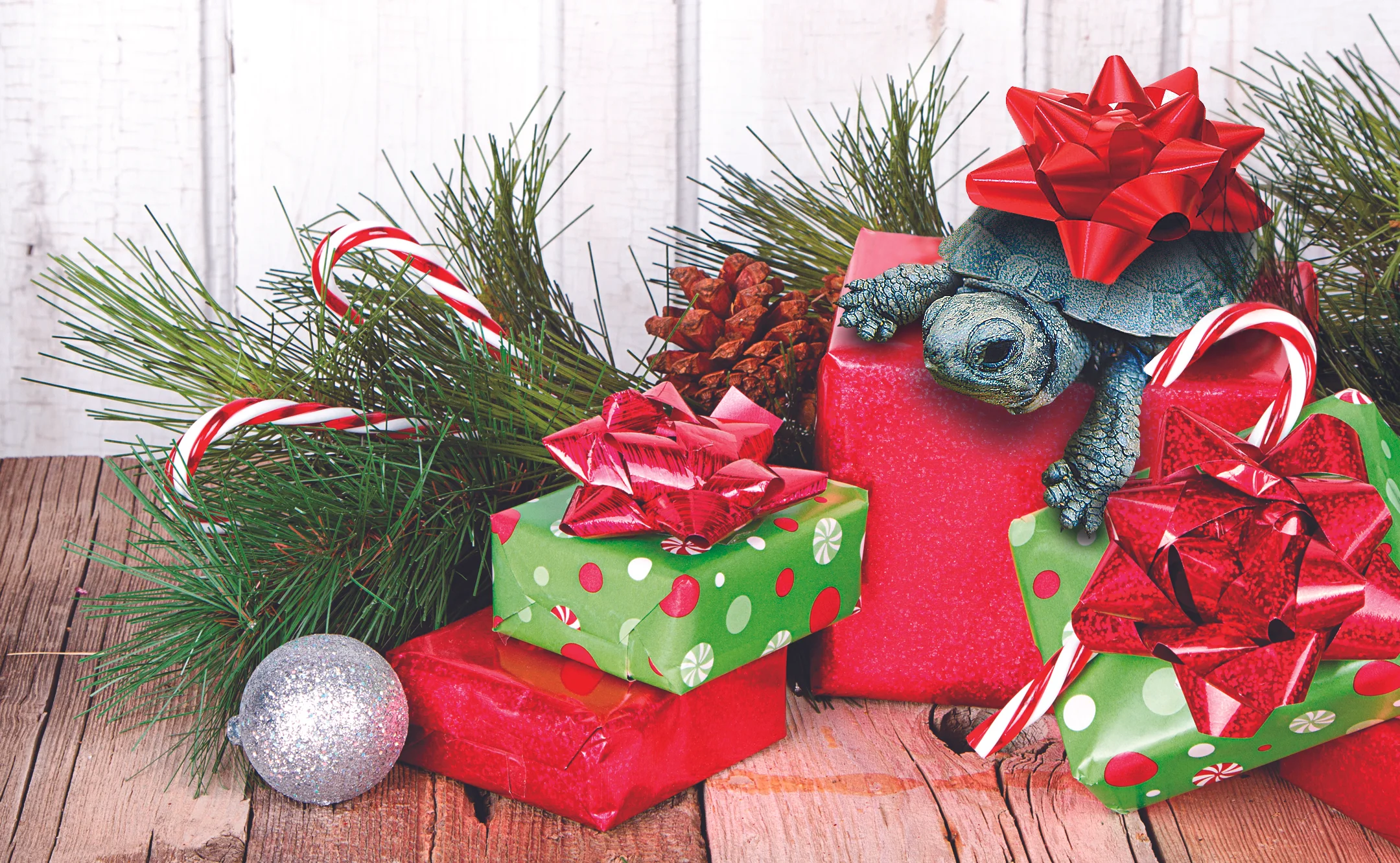 Give the Gift of Nature