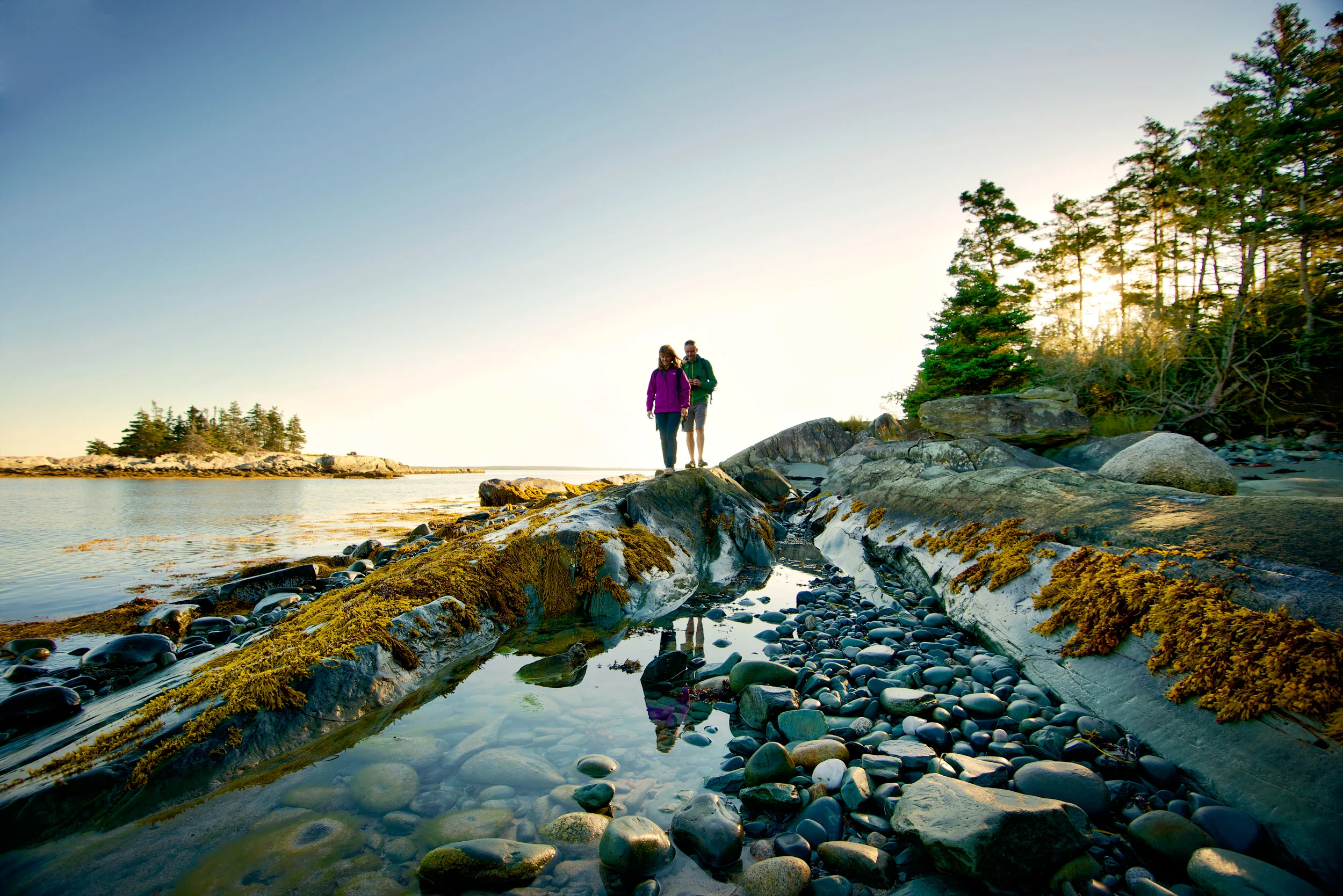 Meet the Faces of the 100 Wild Islands