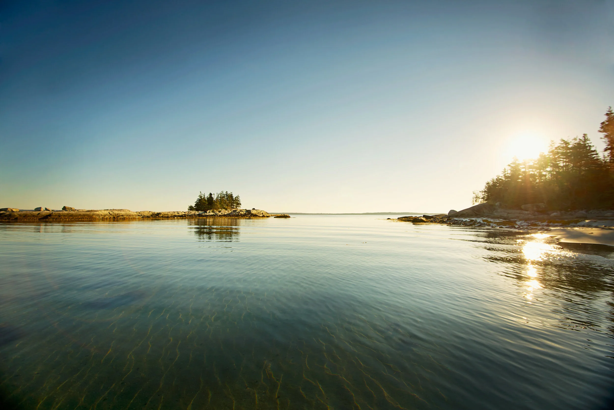 Help Shape the future of the 100 Wild Islands