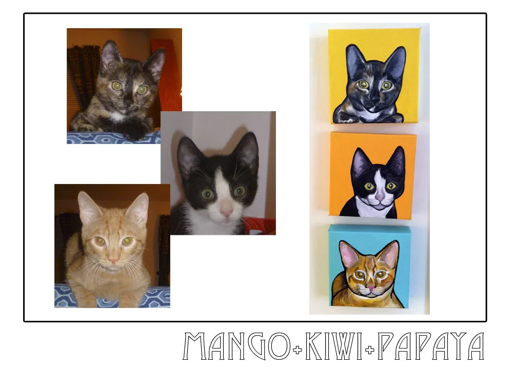 3catseries.jpg
