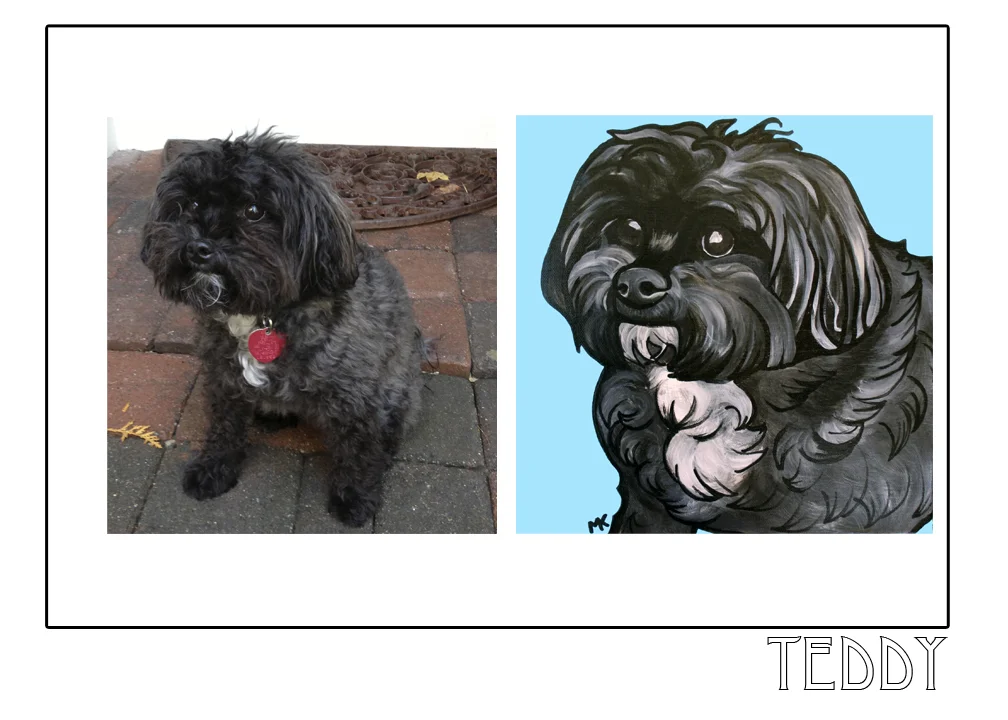teddy.jpg