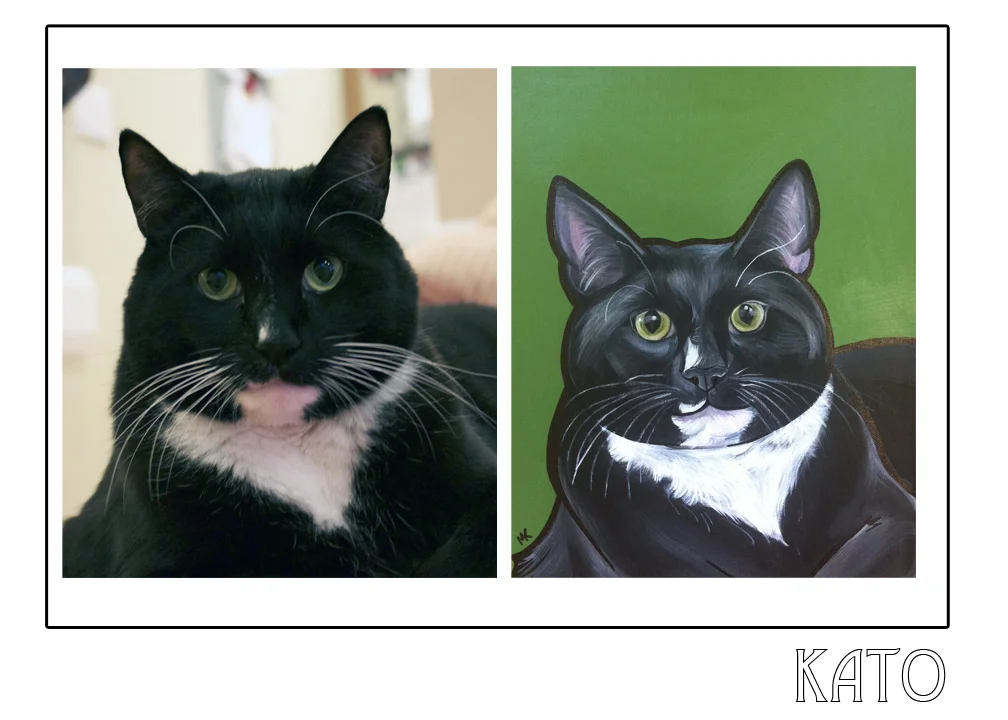 kato.jpg