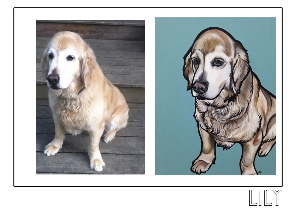 lily1.jpg