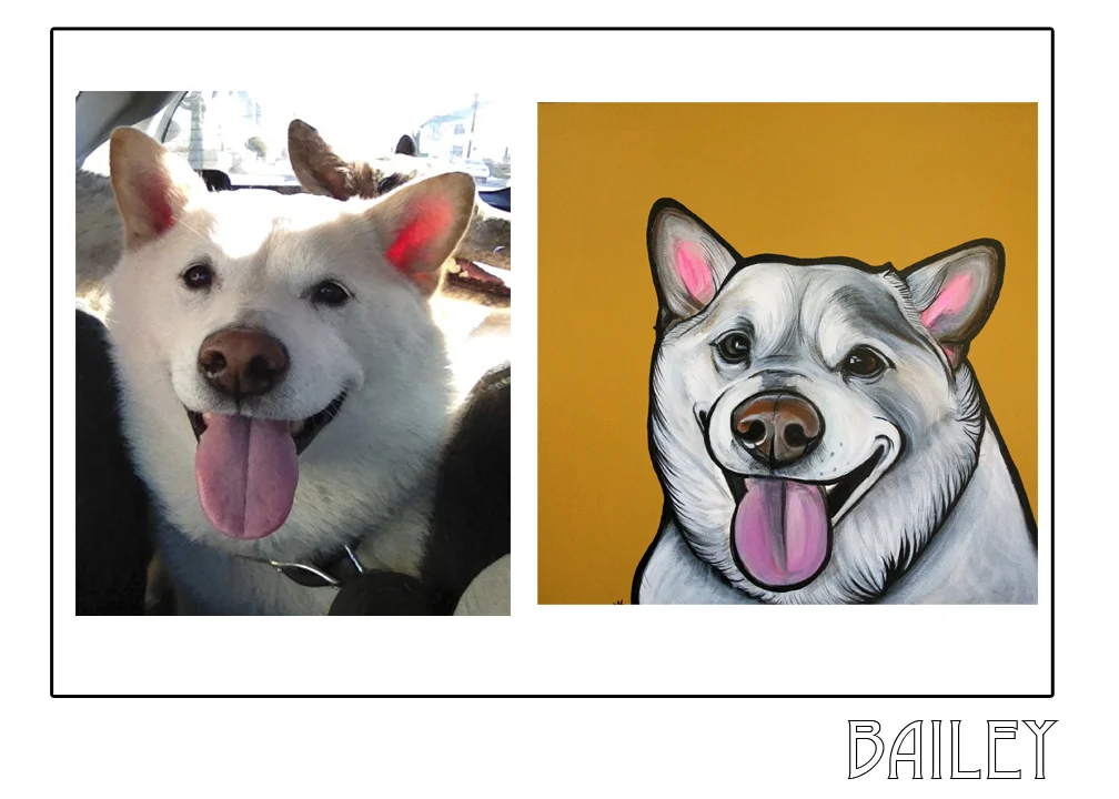 bailey1.jpg