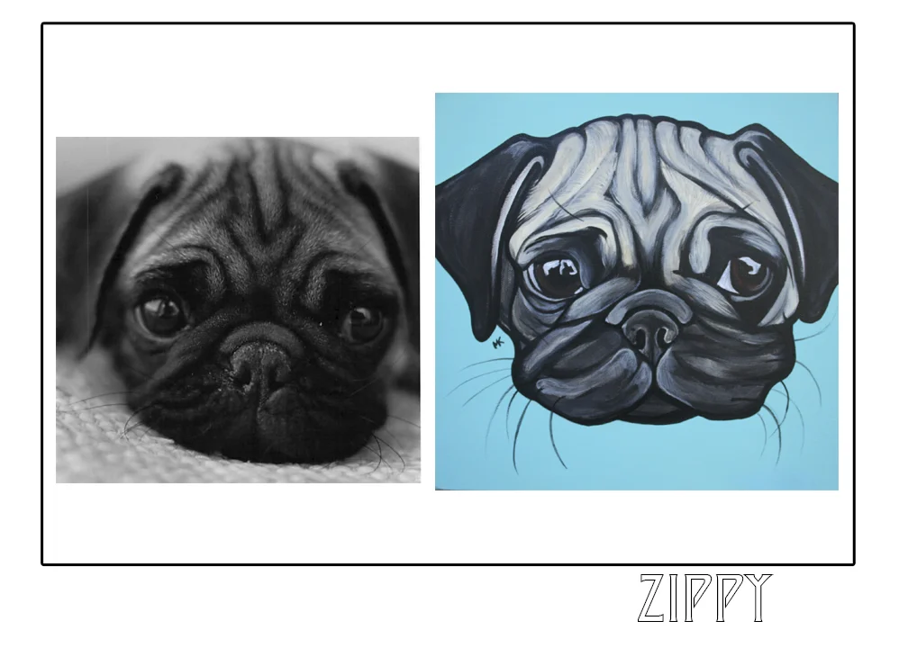 zippy.jpg