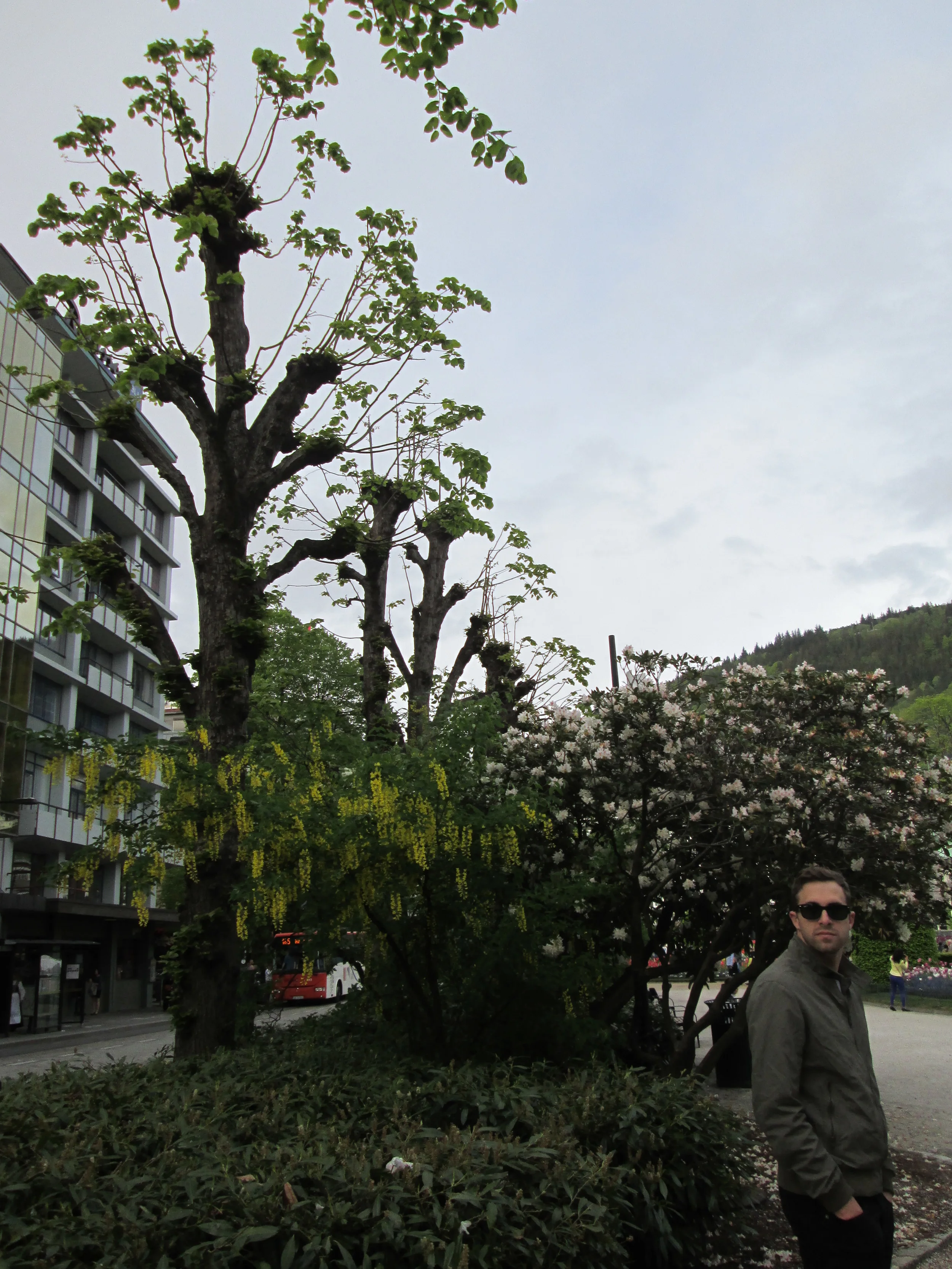 2014-05-17 11.19.47.jpg