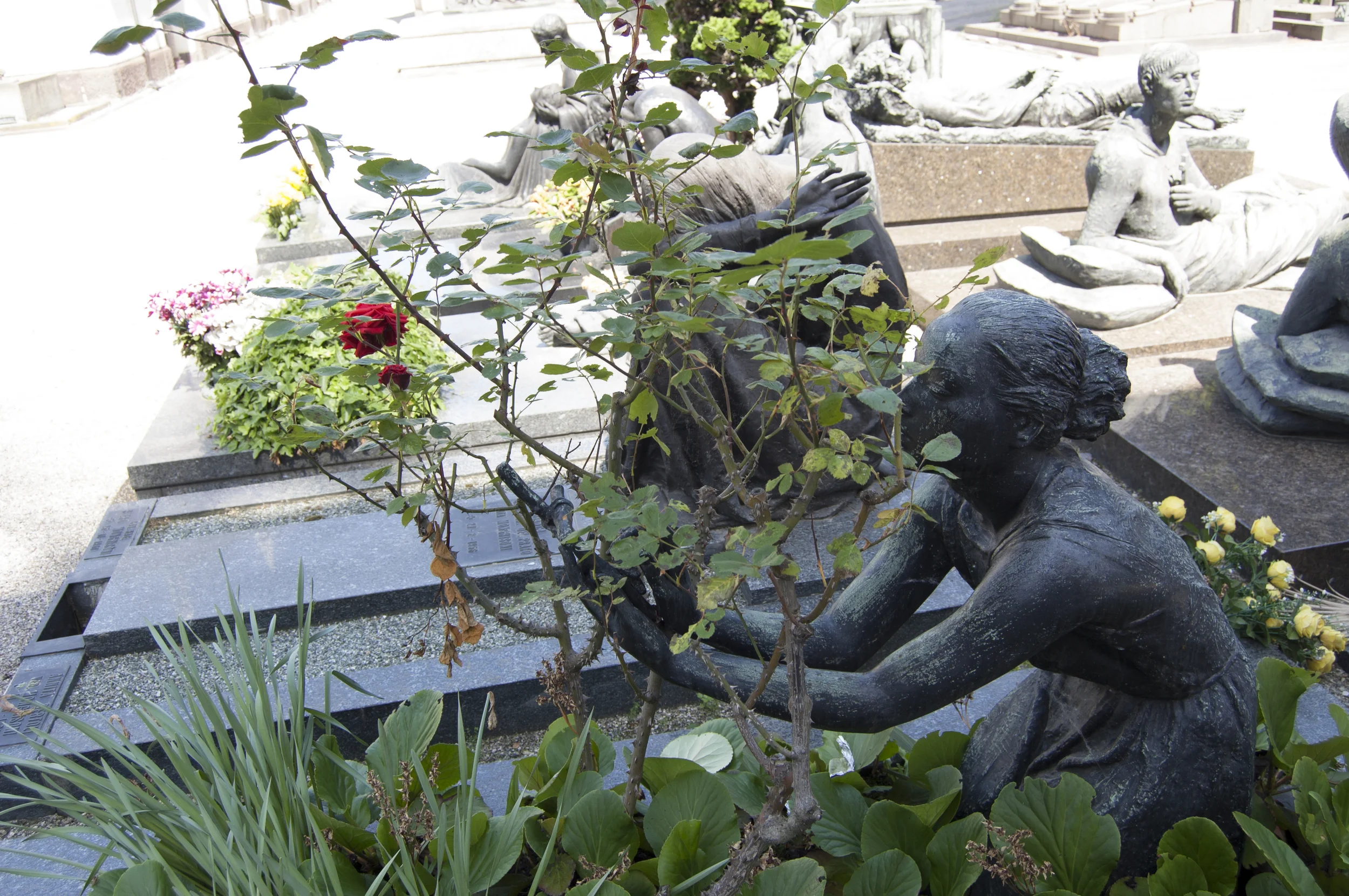 20150510_ml_cemetary_23.jpg