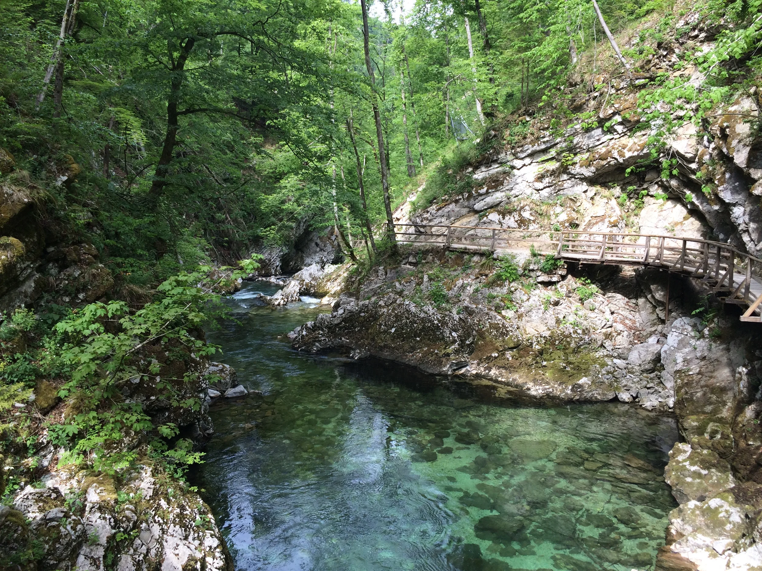 2015-05-12 15.37.33.jpg