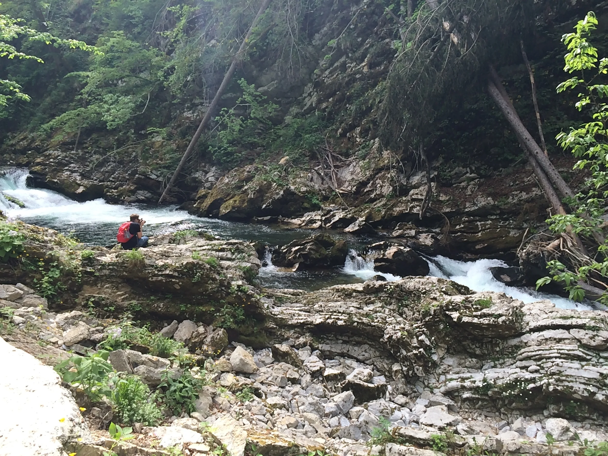 2015-05-12 15.43.46.jpg