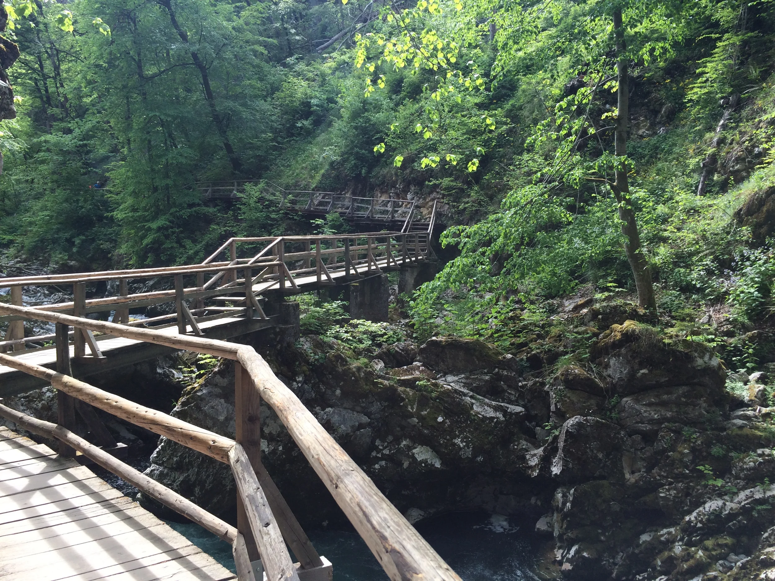 2015-05-12 15.40.04.jpg
