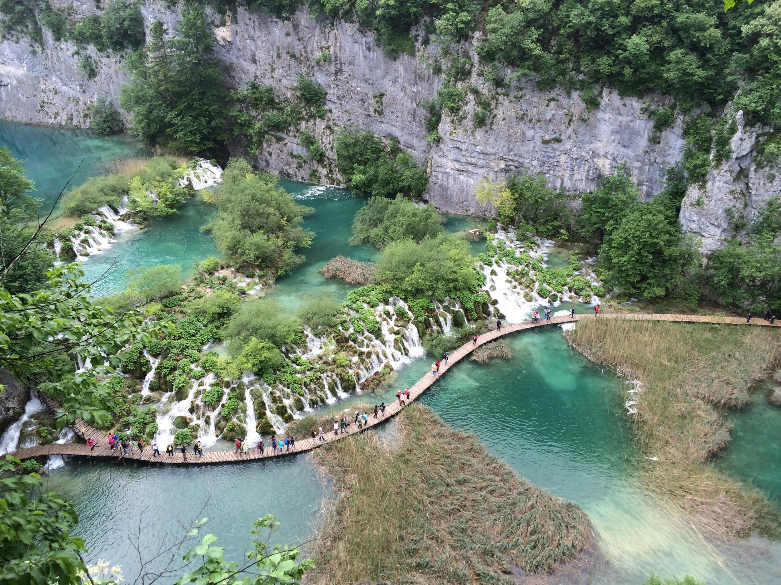 2015-05-17 10.34.16.jpg
