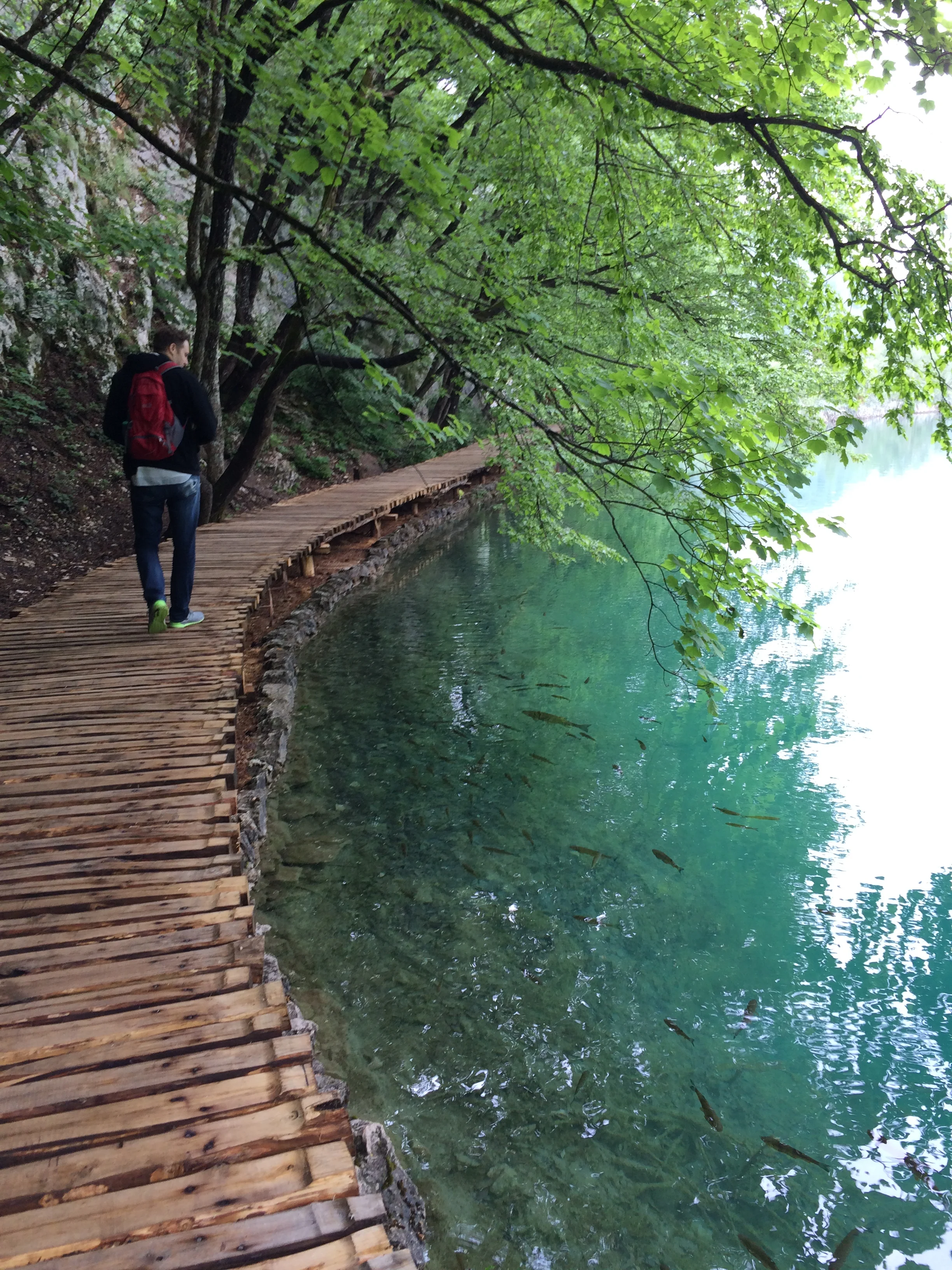 2015-05-17 10.55.30.jpg