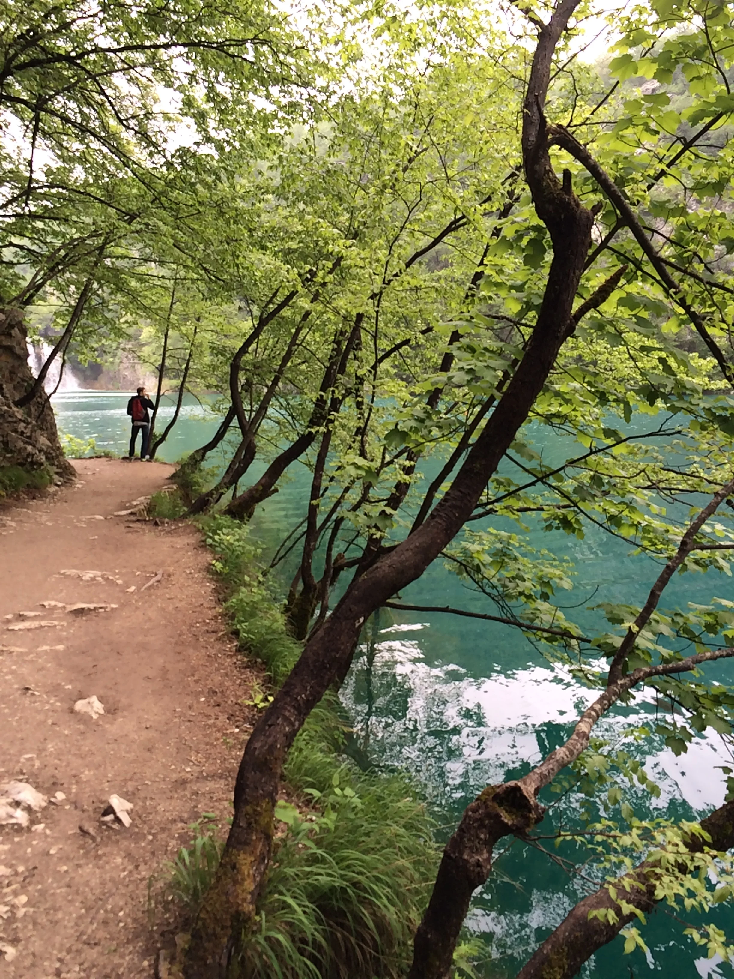 2015-05-17 11.39.22.jpg