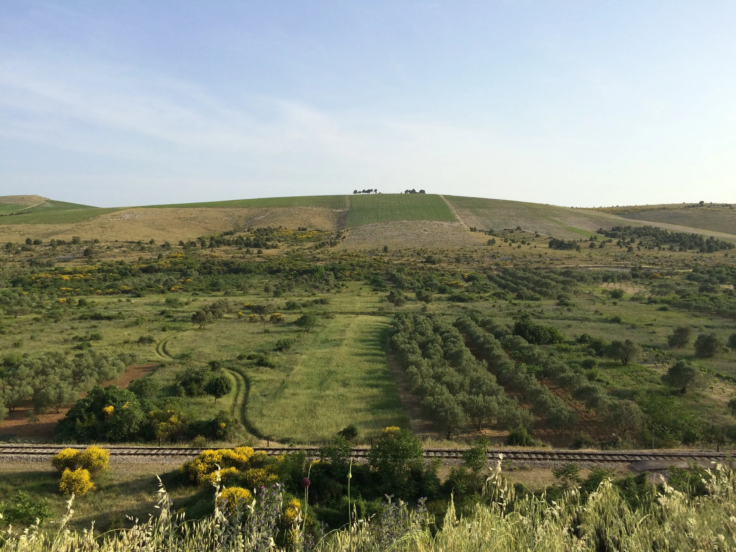 2015-05-17 18.31.58.jpg