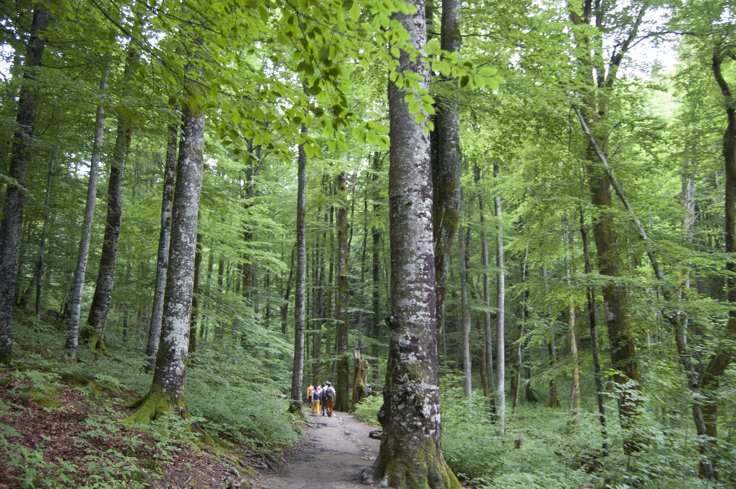 20150517_plitvice__345.jpg