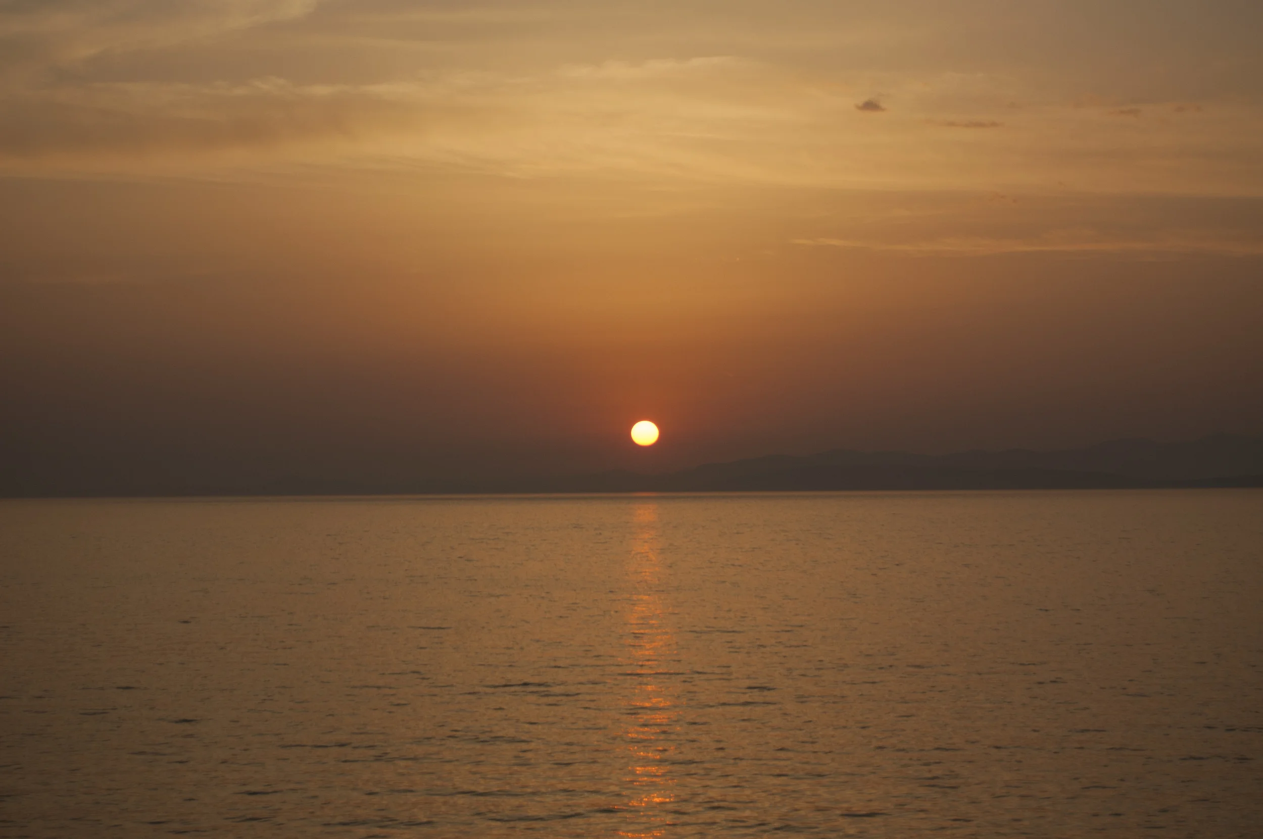20150518_brac__63.jpg