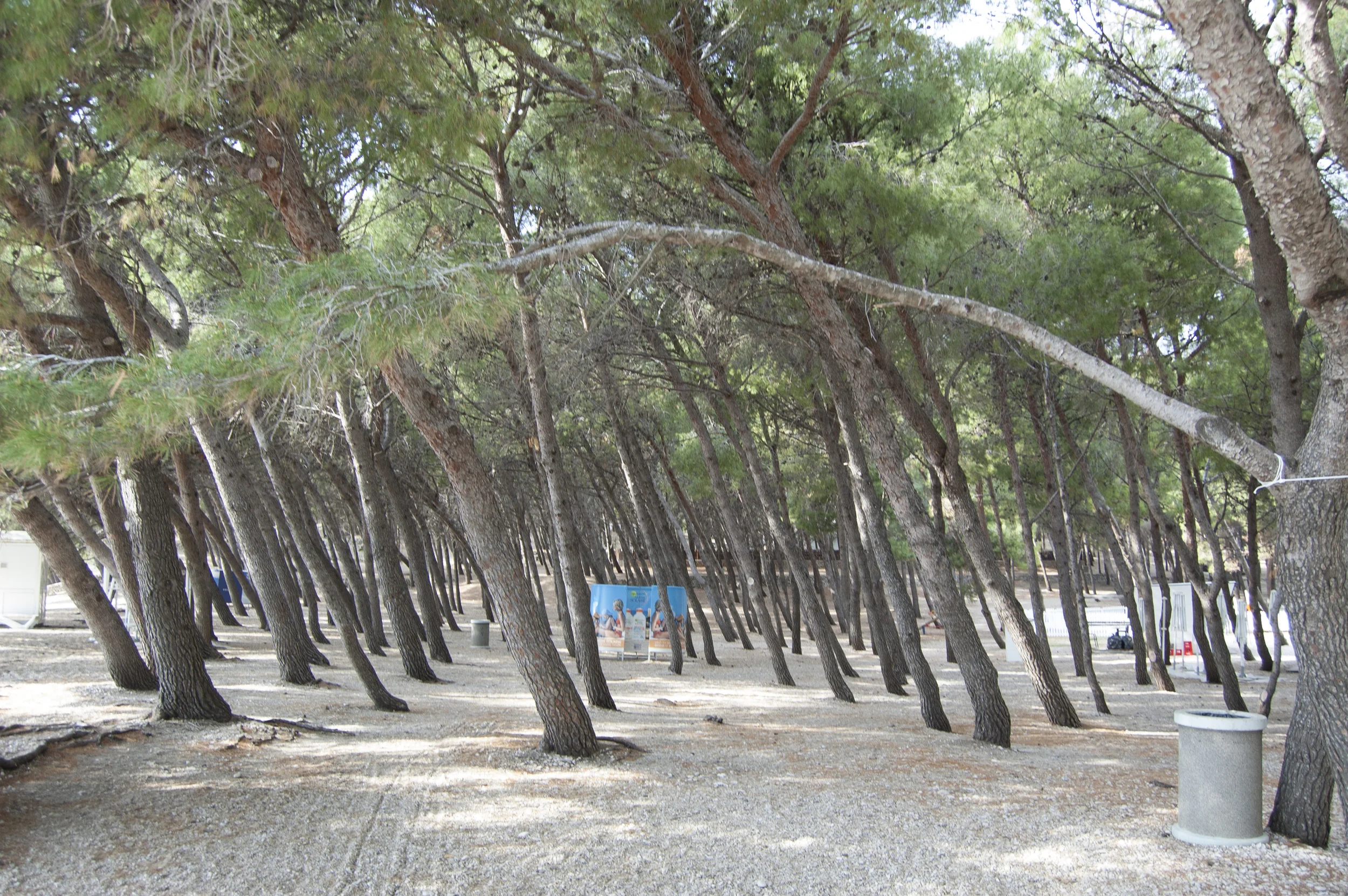 20150518_brac__35.jpg