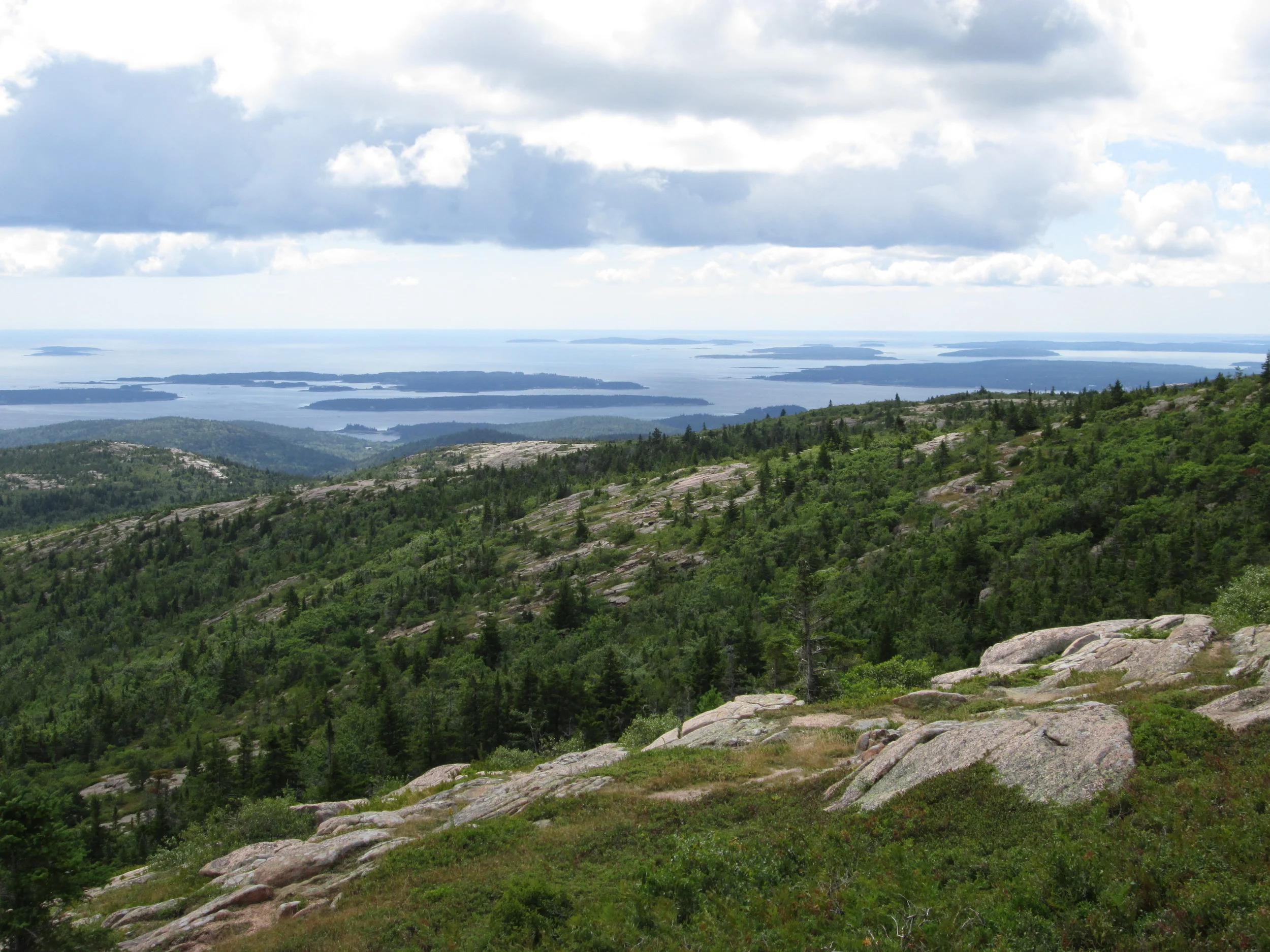 2014-08-18 11.57.26.jpg