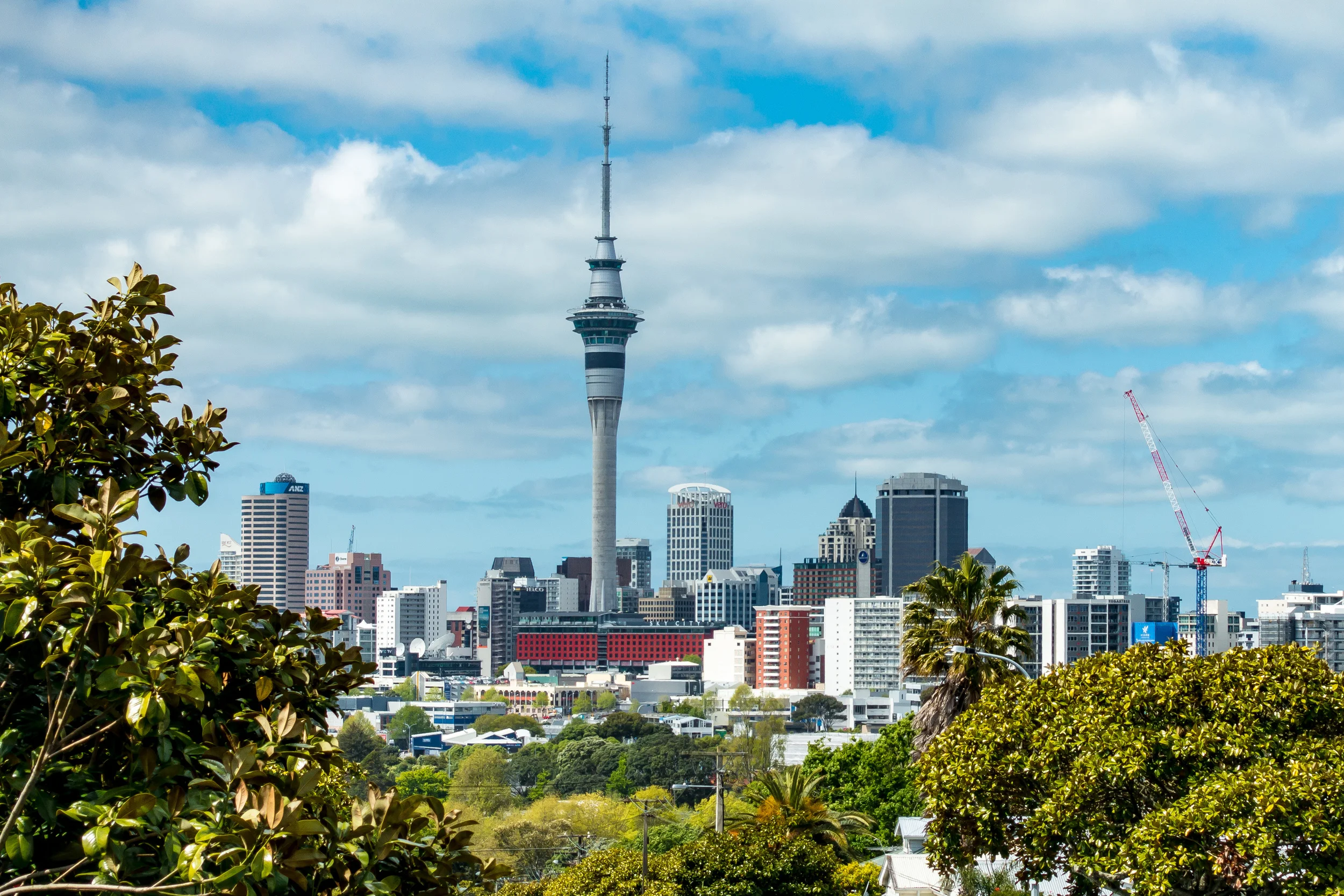 Auckland: First Impressions