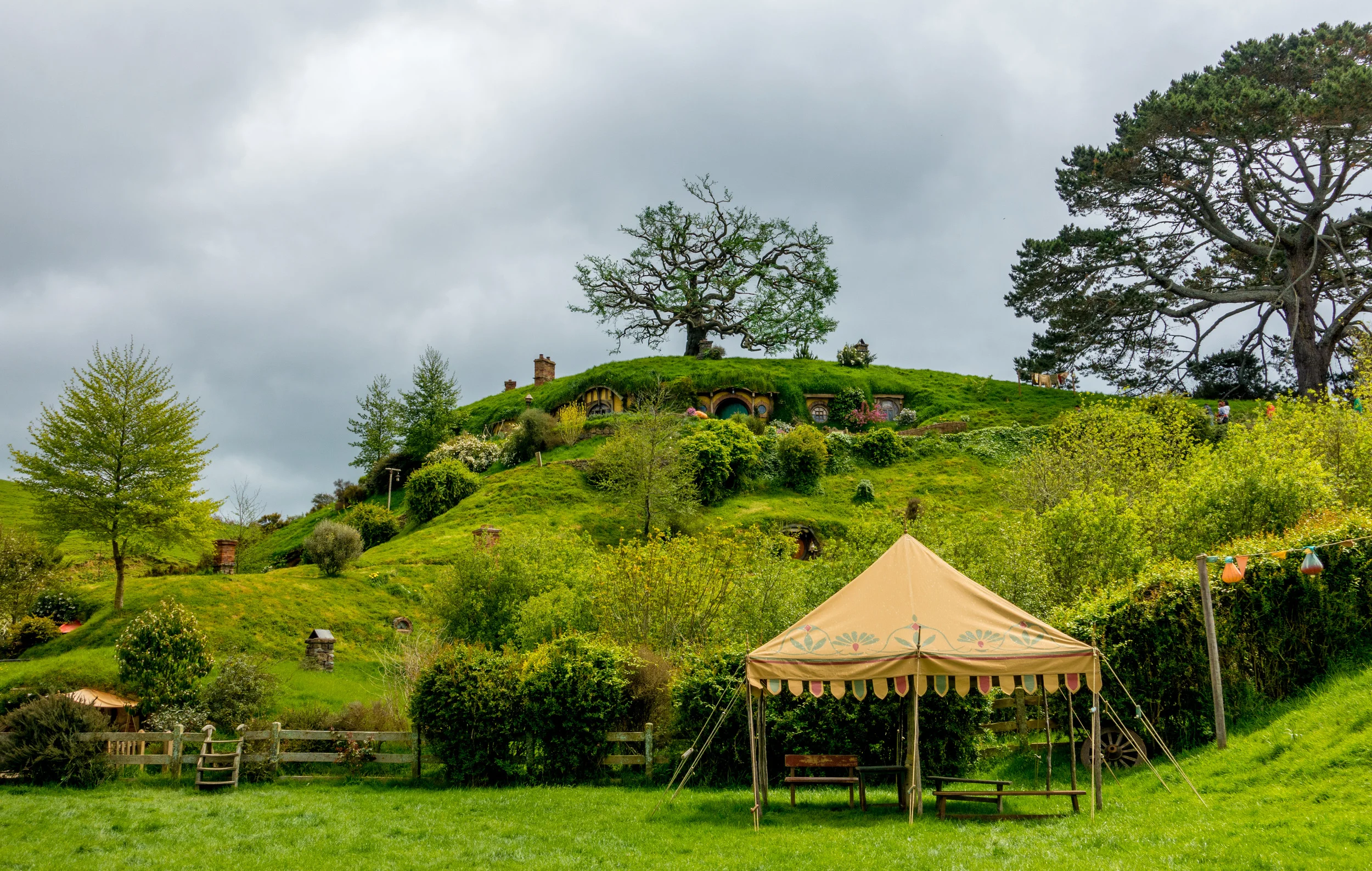 What We Learned On Our Hobbiton Tour