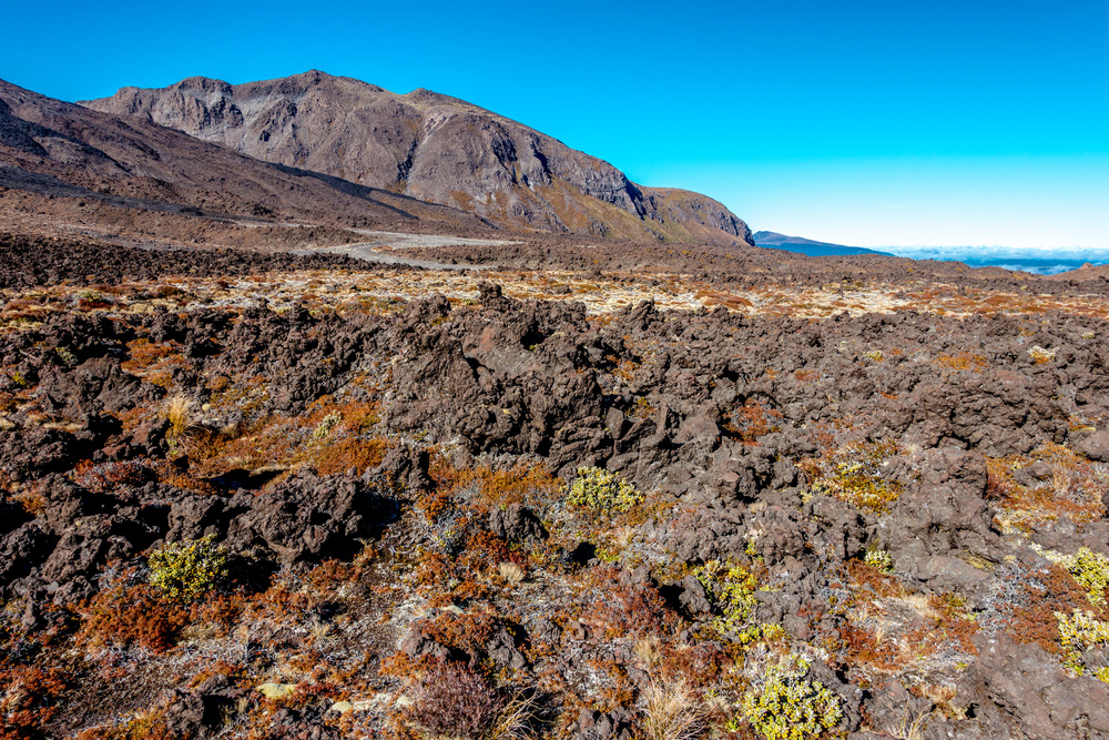 tongariro-130.jpg