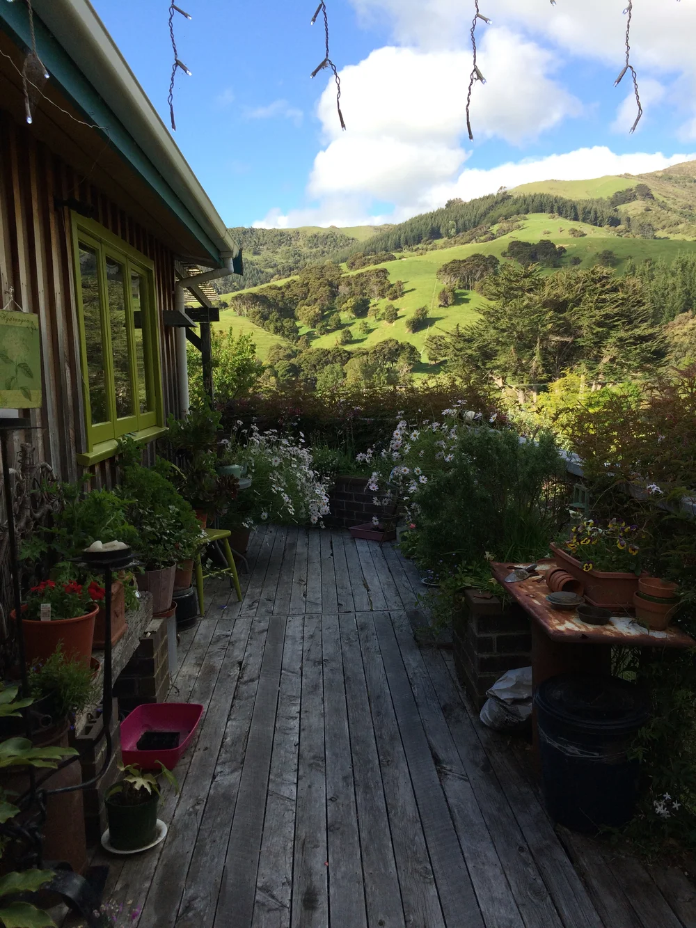 2015-11-04 18.11.30.jpg