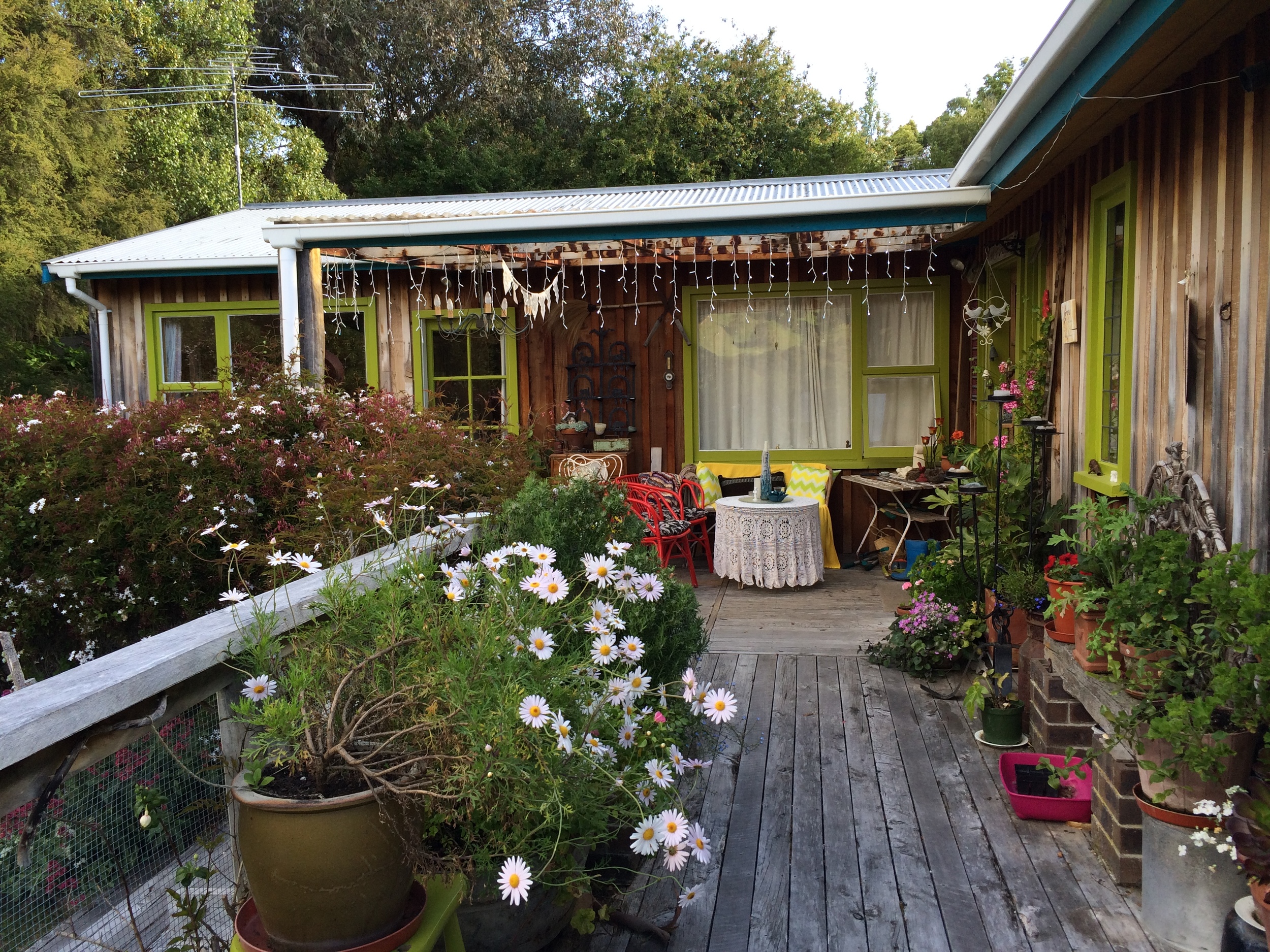 2015-11-04 18.12.17.jpg