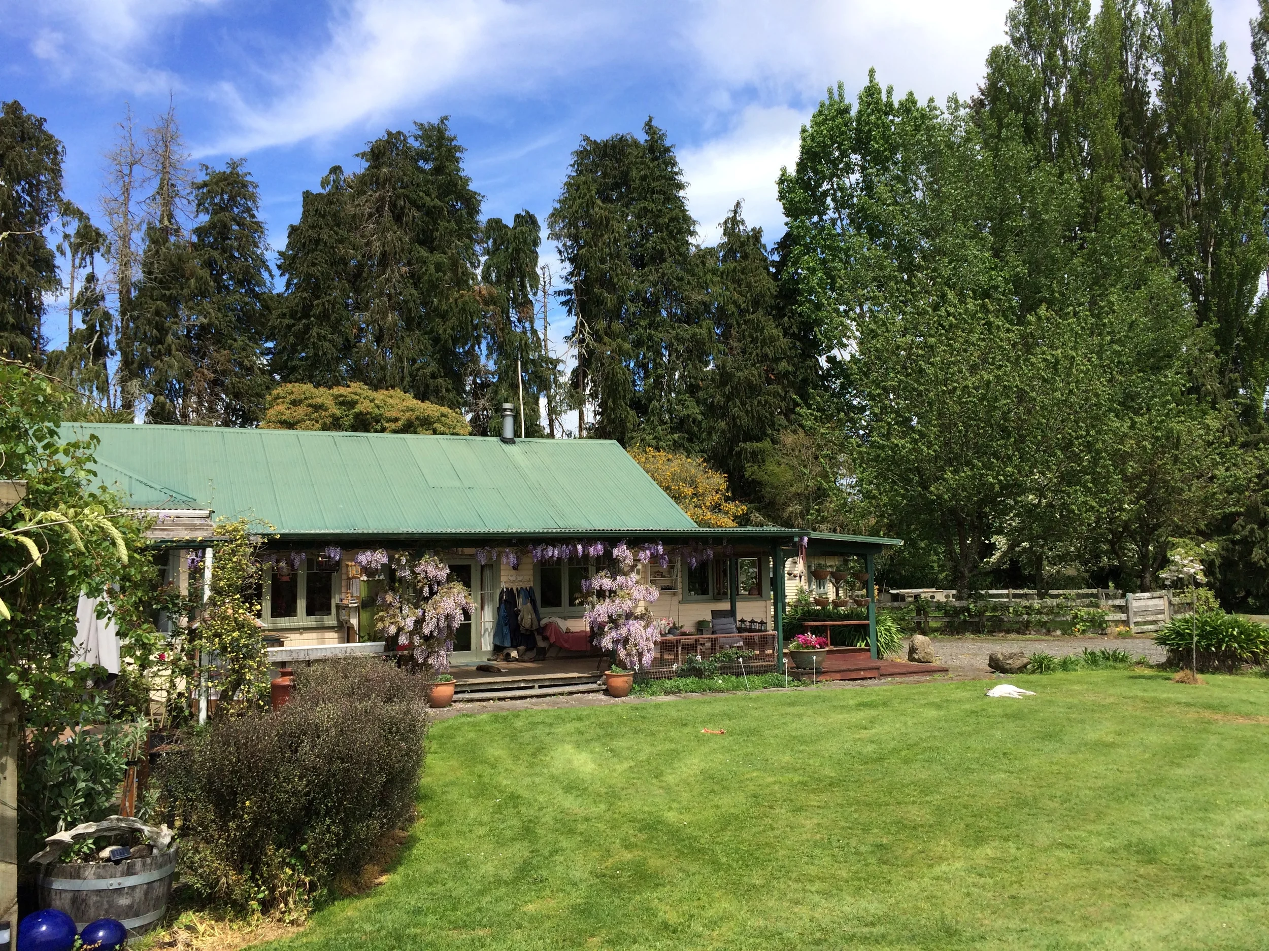 How to Save Money & Have Great Experiences with Airbnb