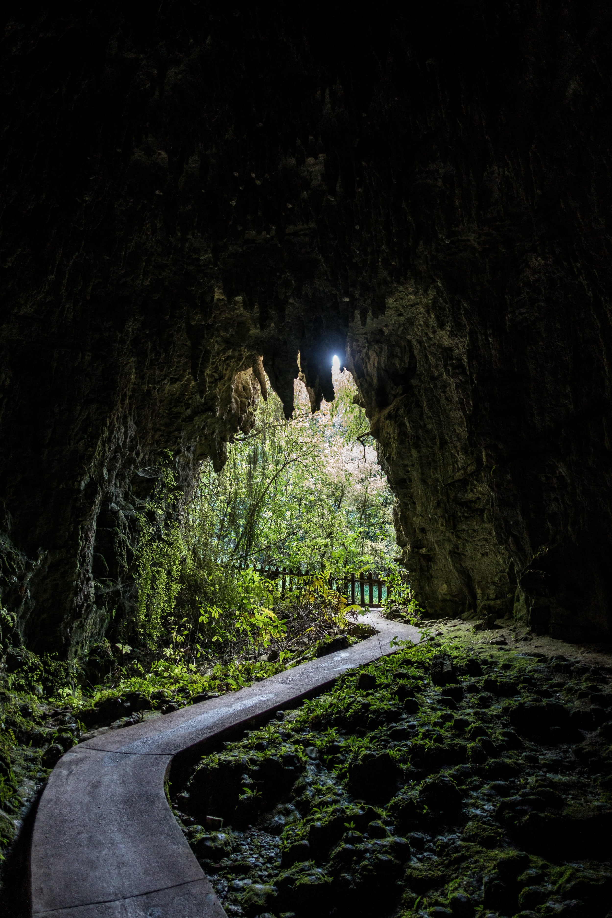  Looking back at the cave entrance from inside. 