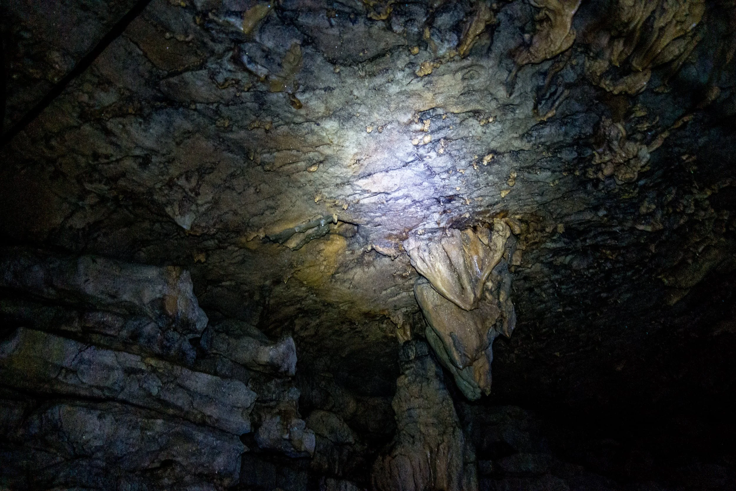 Waitomo Caves: The Fault & Near Stars