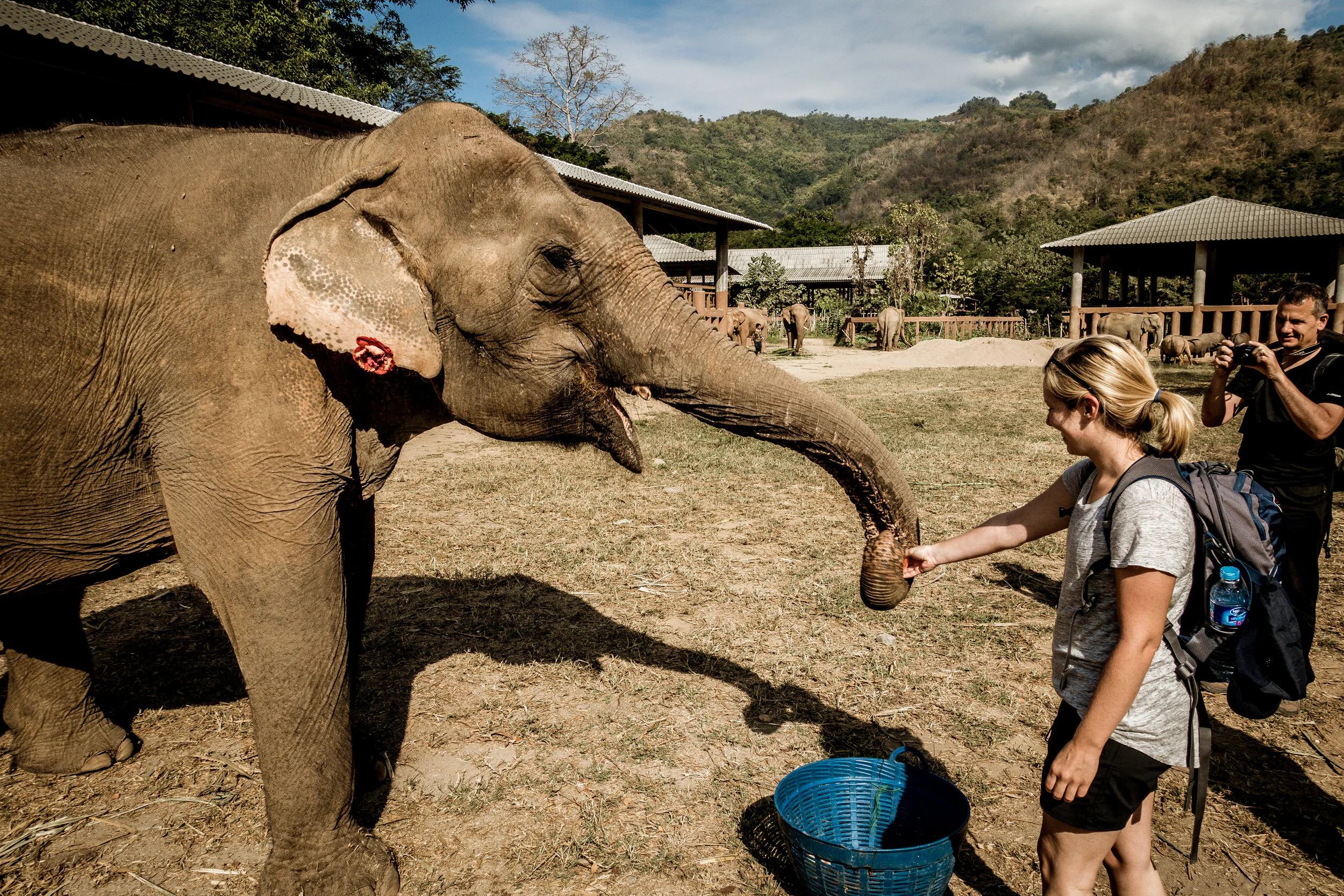 chiangmai_elephantpark-010216-10.15.24.jpg