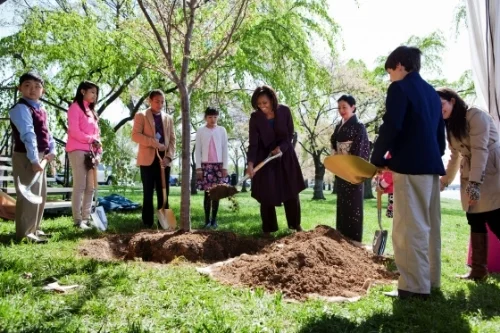 First Lady Michelle Obama plants a tree at the centennial Cherry Blossom Festival in 2012. Photo credit: whitehouse.gov