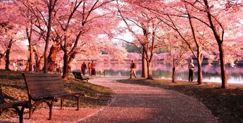 Image from Washington.org