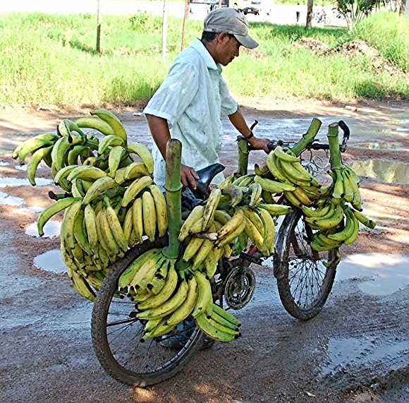 A banana merchant in Honduras loads up his bike./ Photo courtesy of Bikes for the World