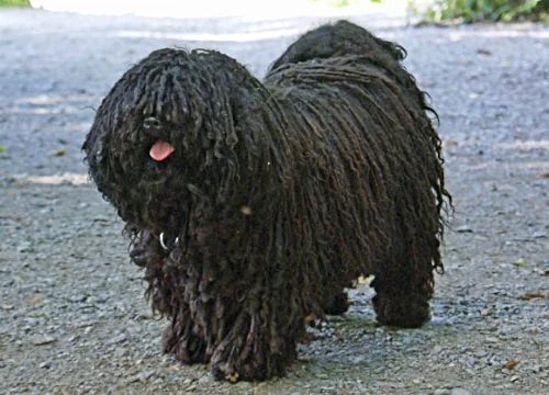 What a lovely coat you have, sir.
