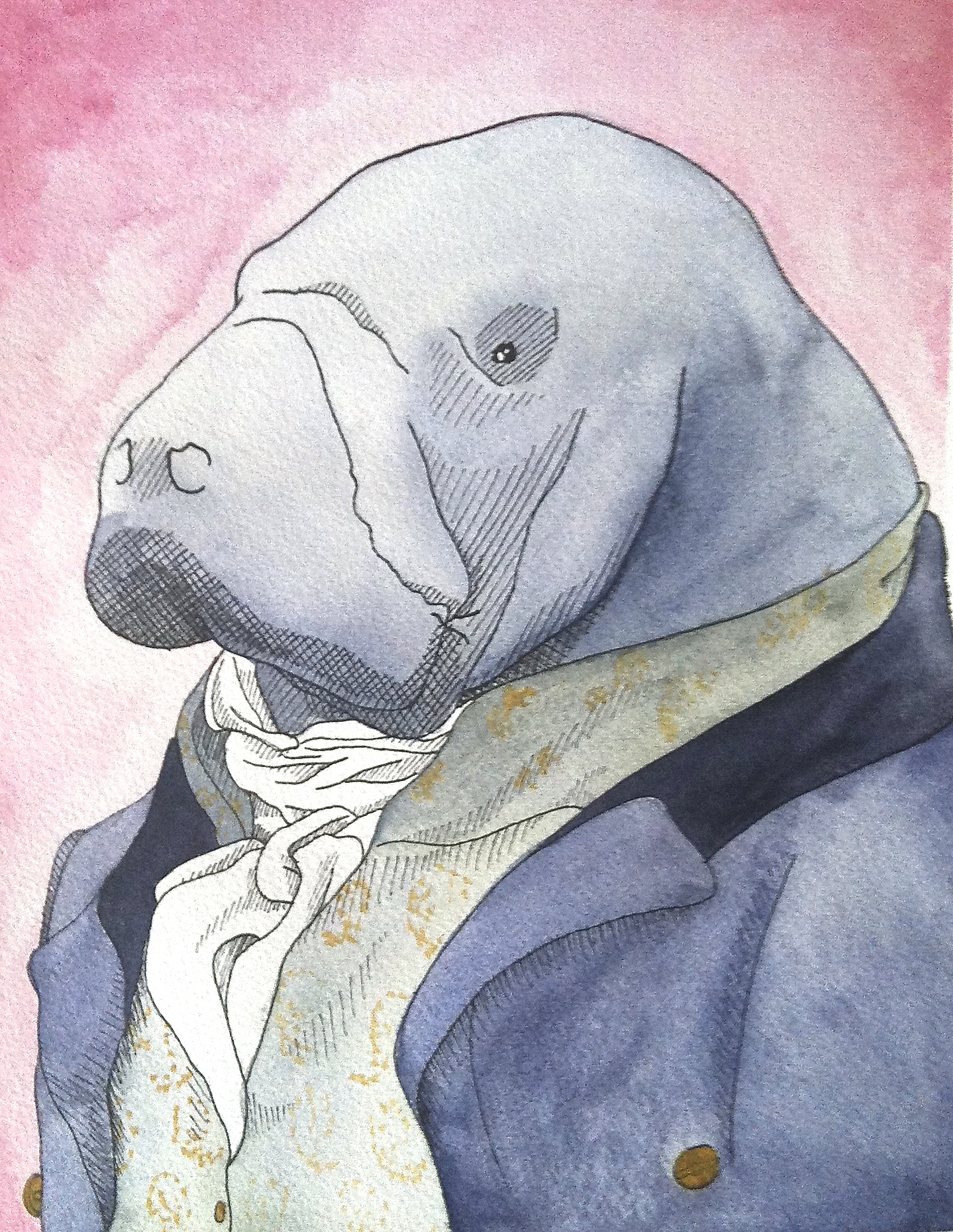 Monsieur Manatee 9 x 12 pen and watercolor 2013 NFS