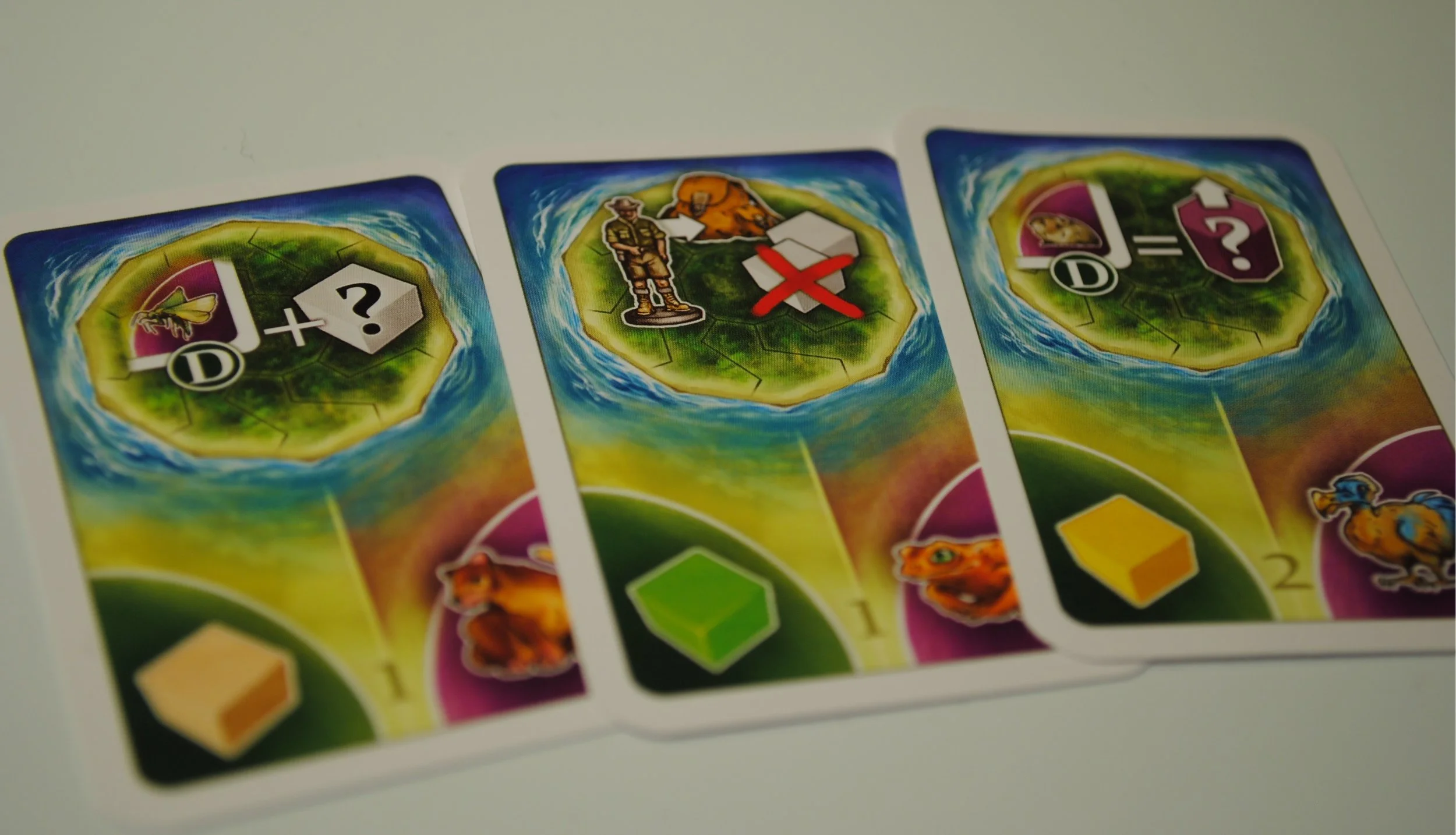 cards.jpg