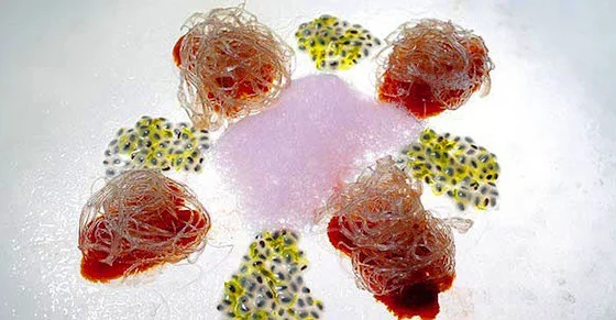 Art i ciència, com estimar la ciència a través de l'art